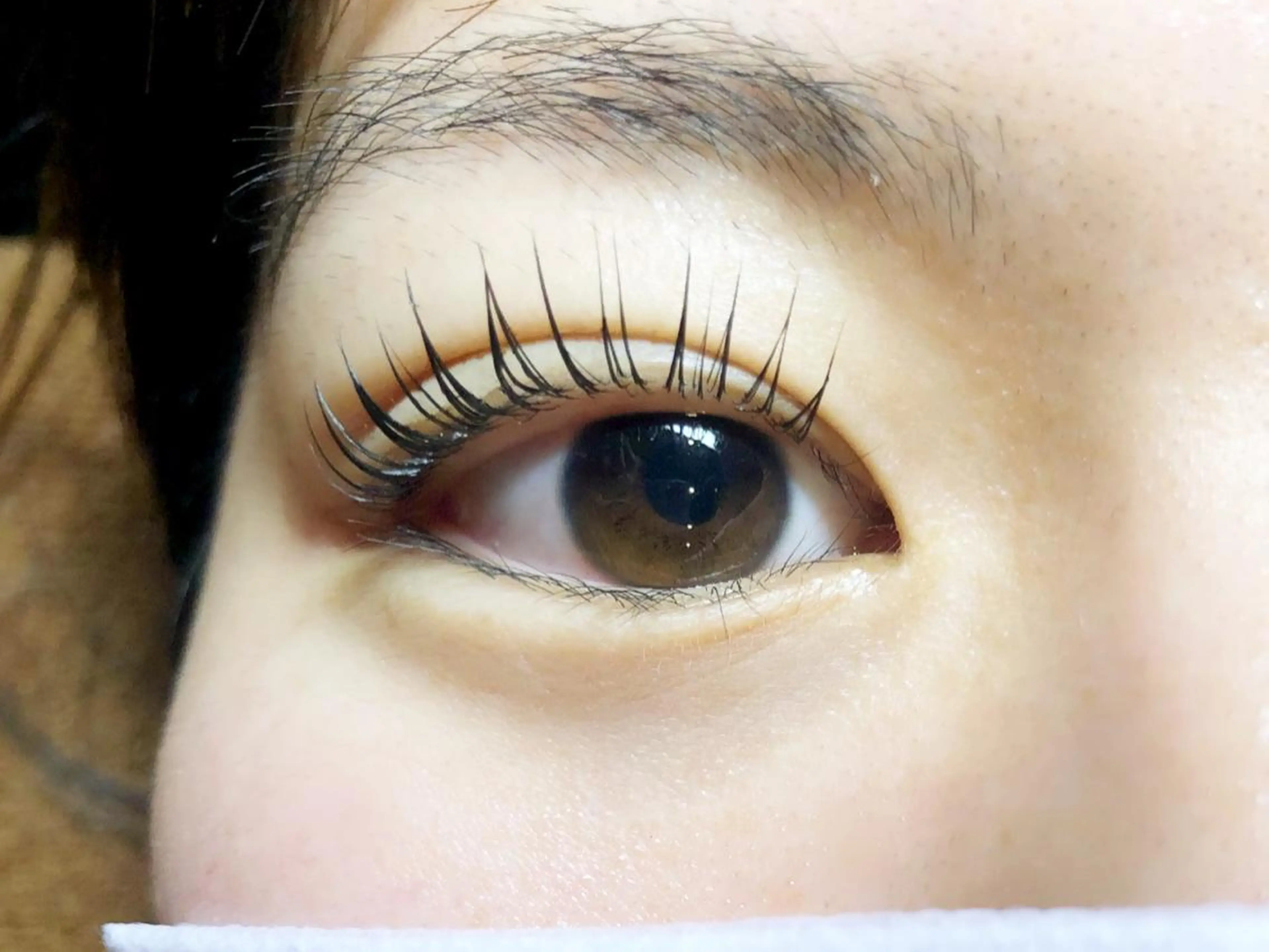 マツエク・マツパ マツパ 【Refine】 磯部のマツエク・マツパデザイン