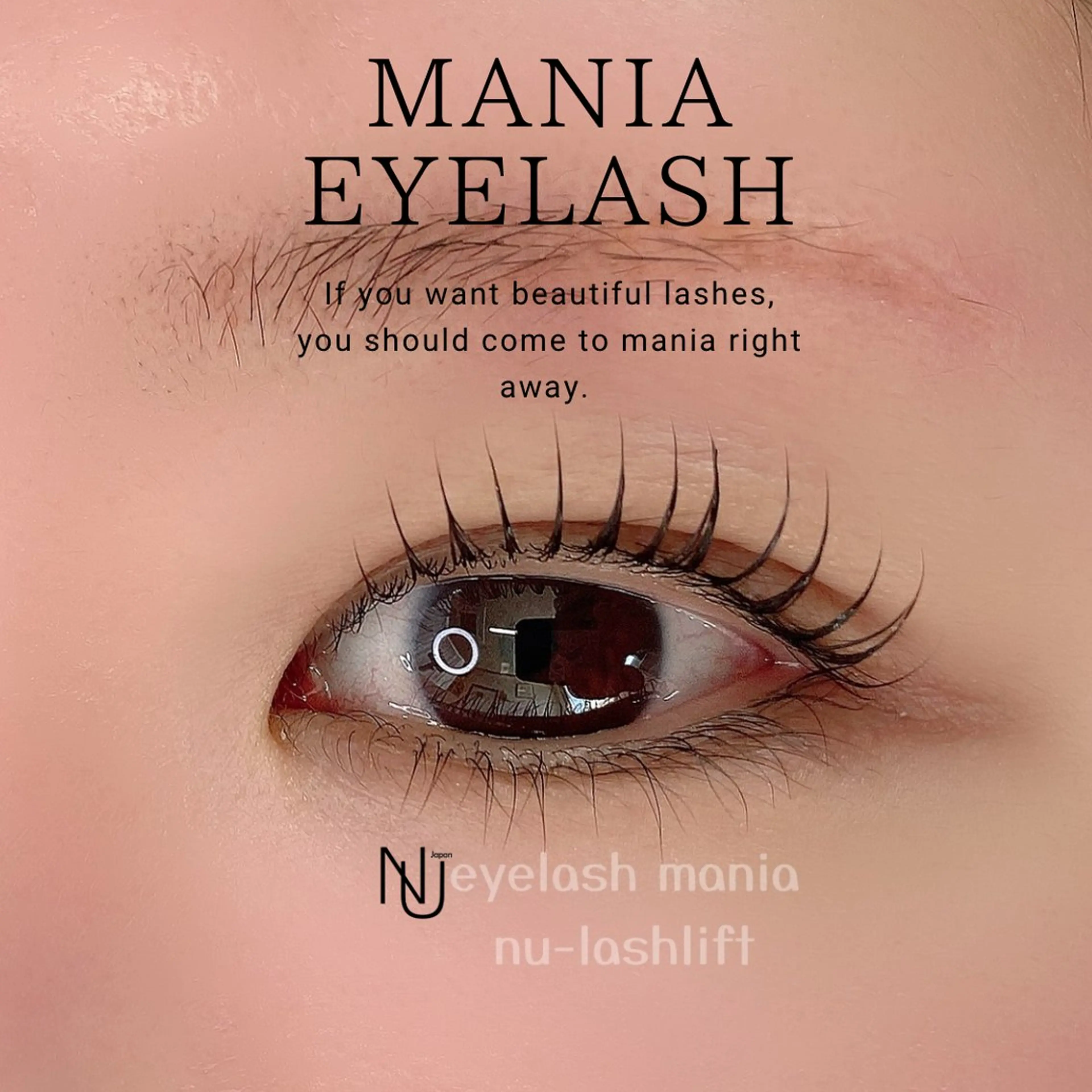 5月27日、28日、2日限定🫧🫧韓国最上位技術NUNU lash lift🫧毛先までも潤う✨の写真