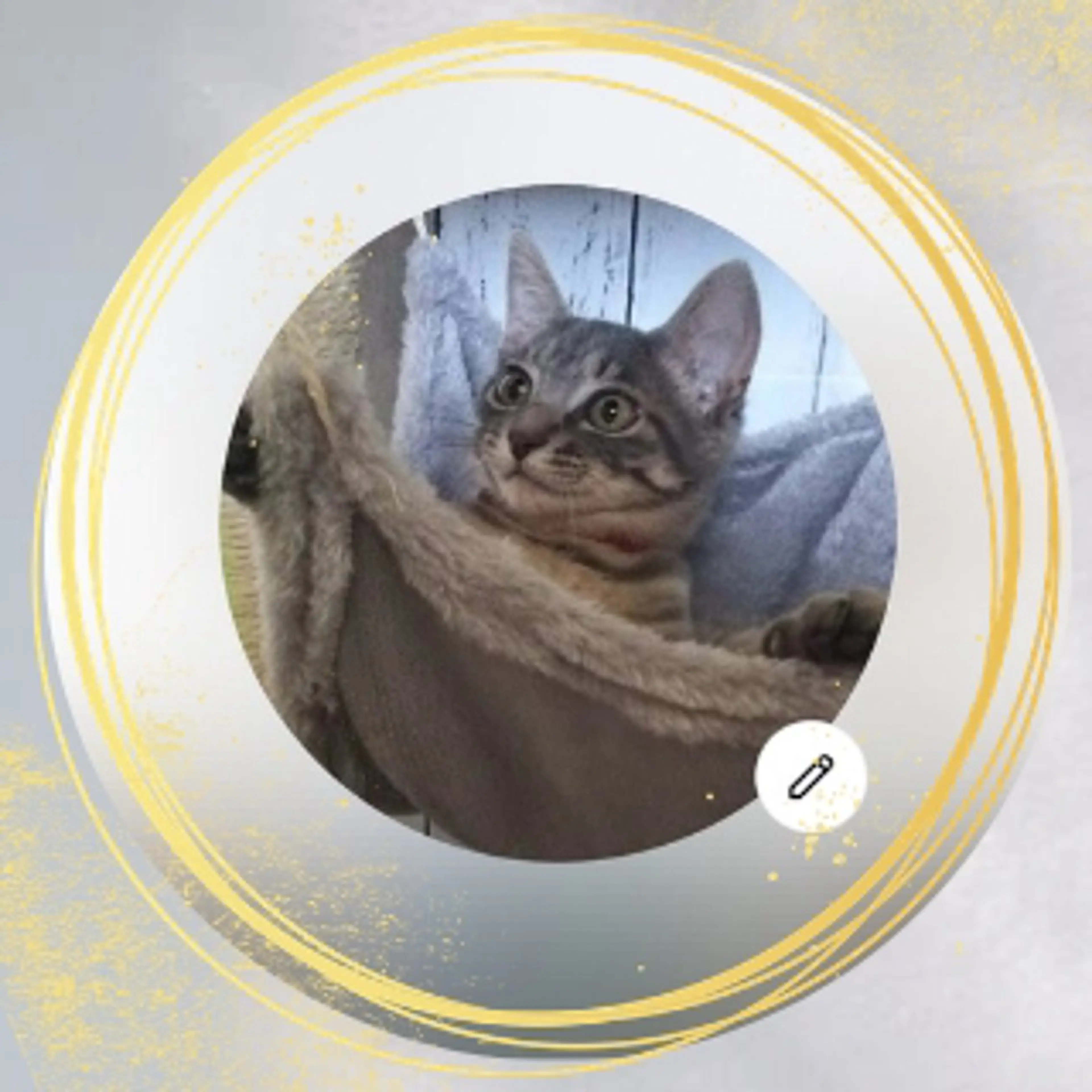 その他 brow bar tokyo所属・brow bar tokyo【乃木坂】のエステ・リラクイメージ