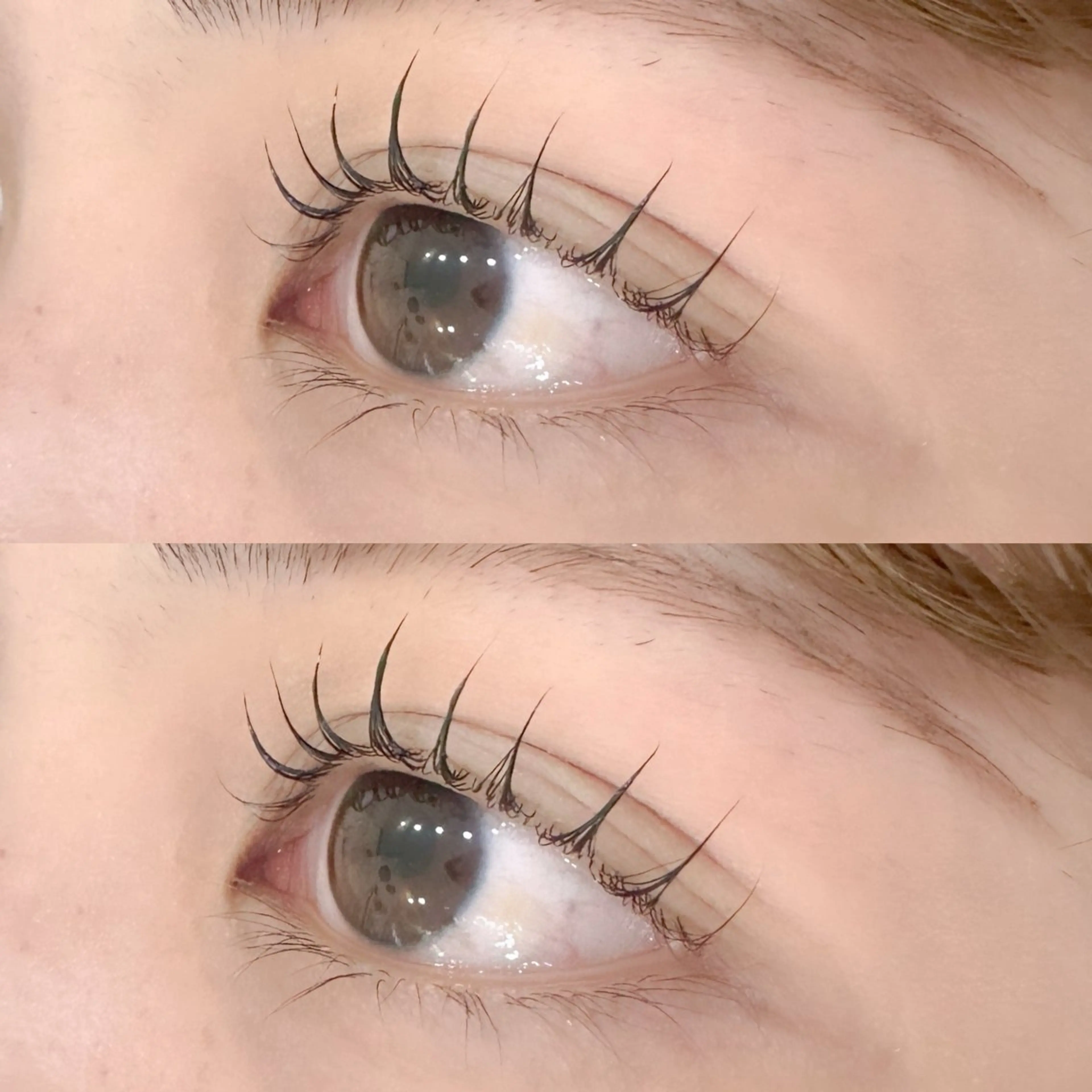 マツエク・マツパ マリーテレジア‎🩵 Maeokaのマツエク・マツパデザイン