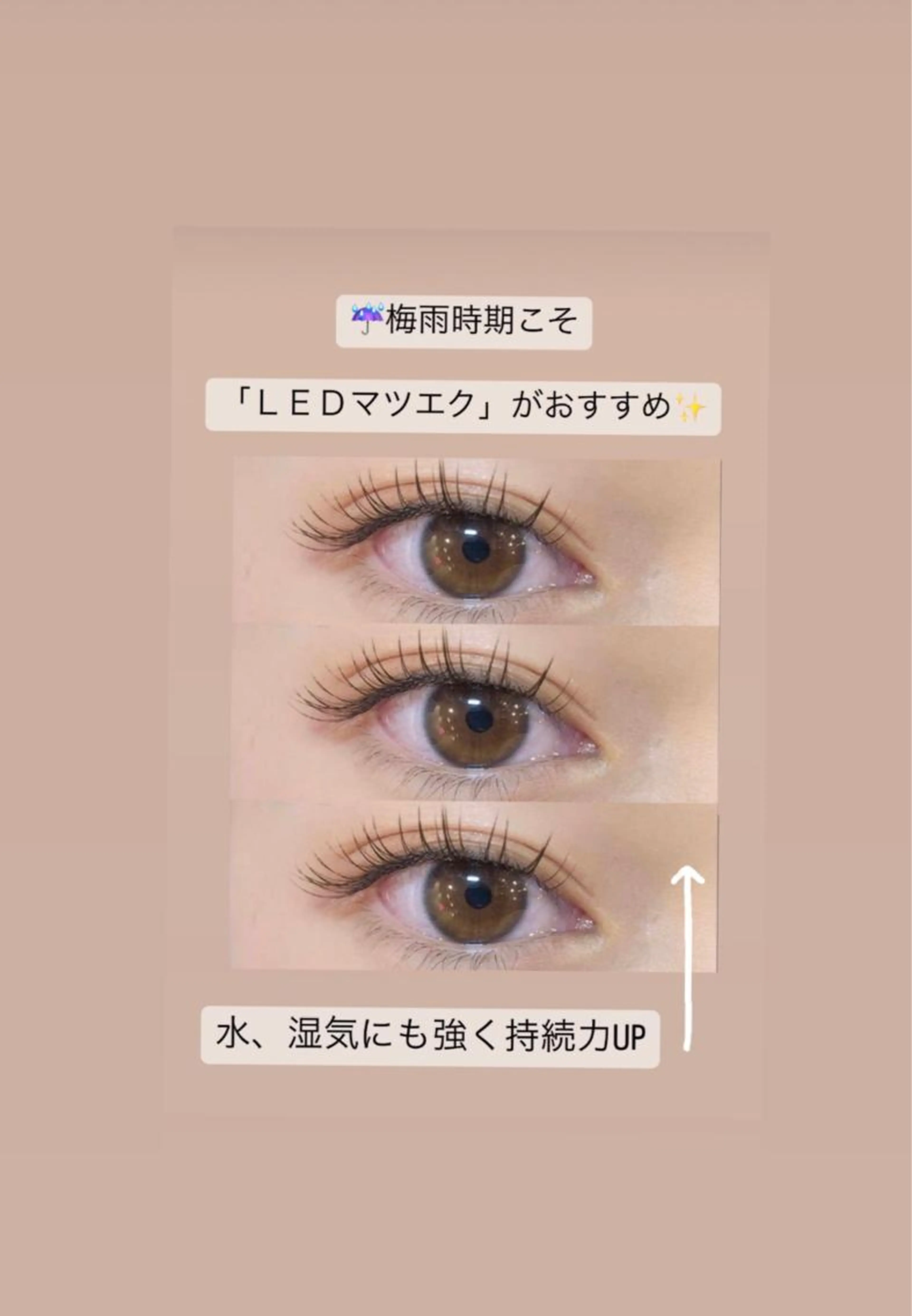 新規様【LEDエクステ】付け放題¥8660  認定サロンの写真