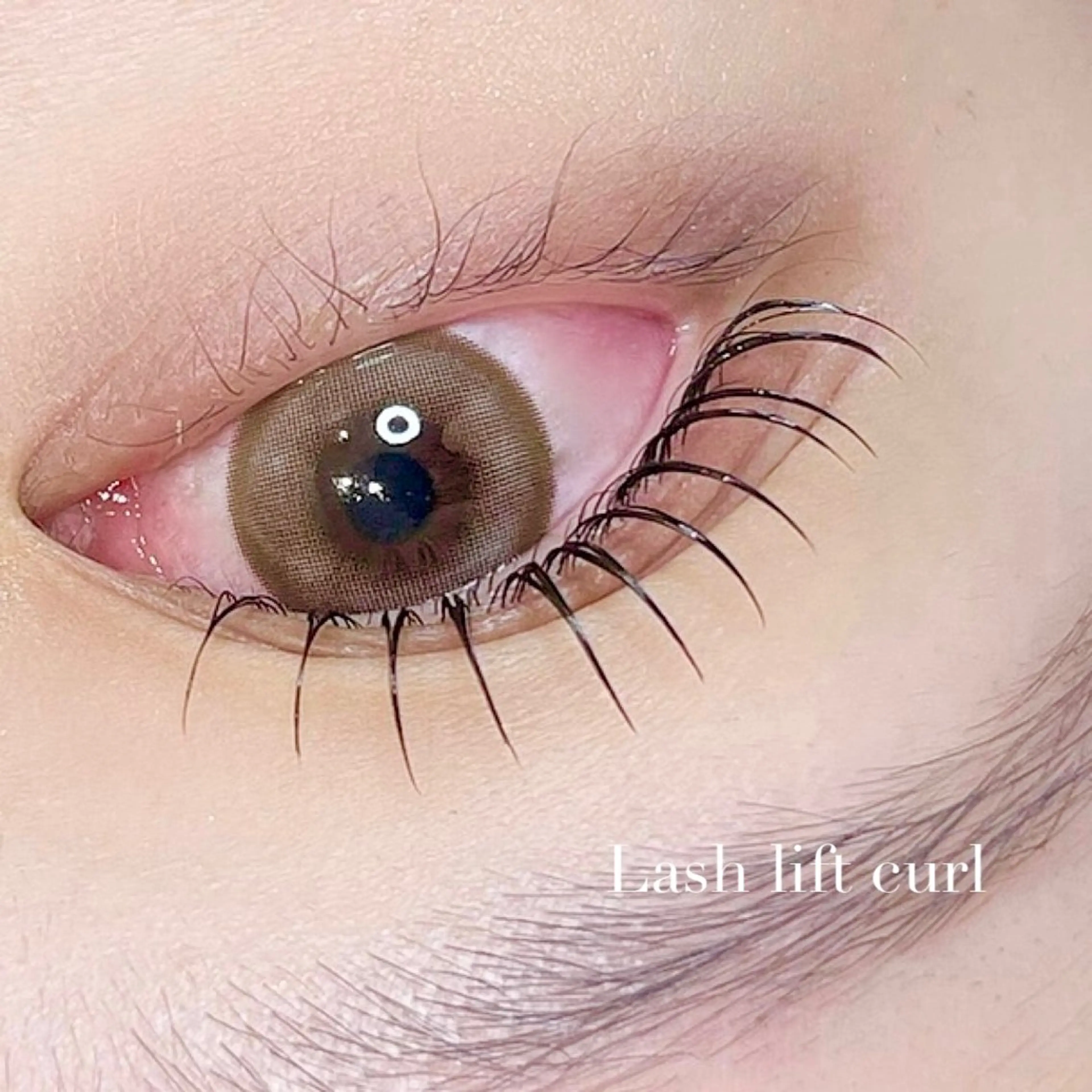 マツエク・マツパ Largo🌿 明治神宮前/表参道のマツエク・マツパデザイン