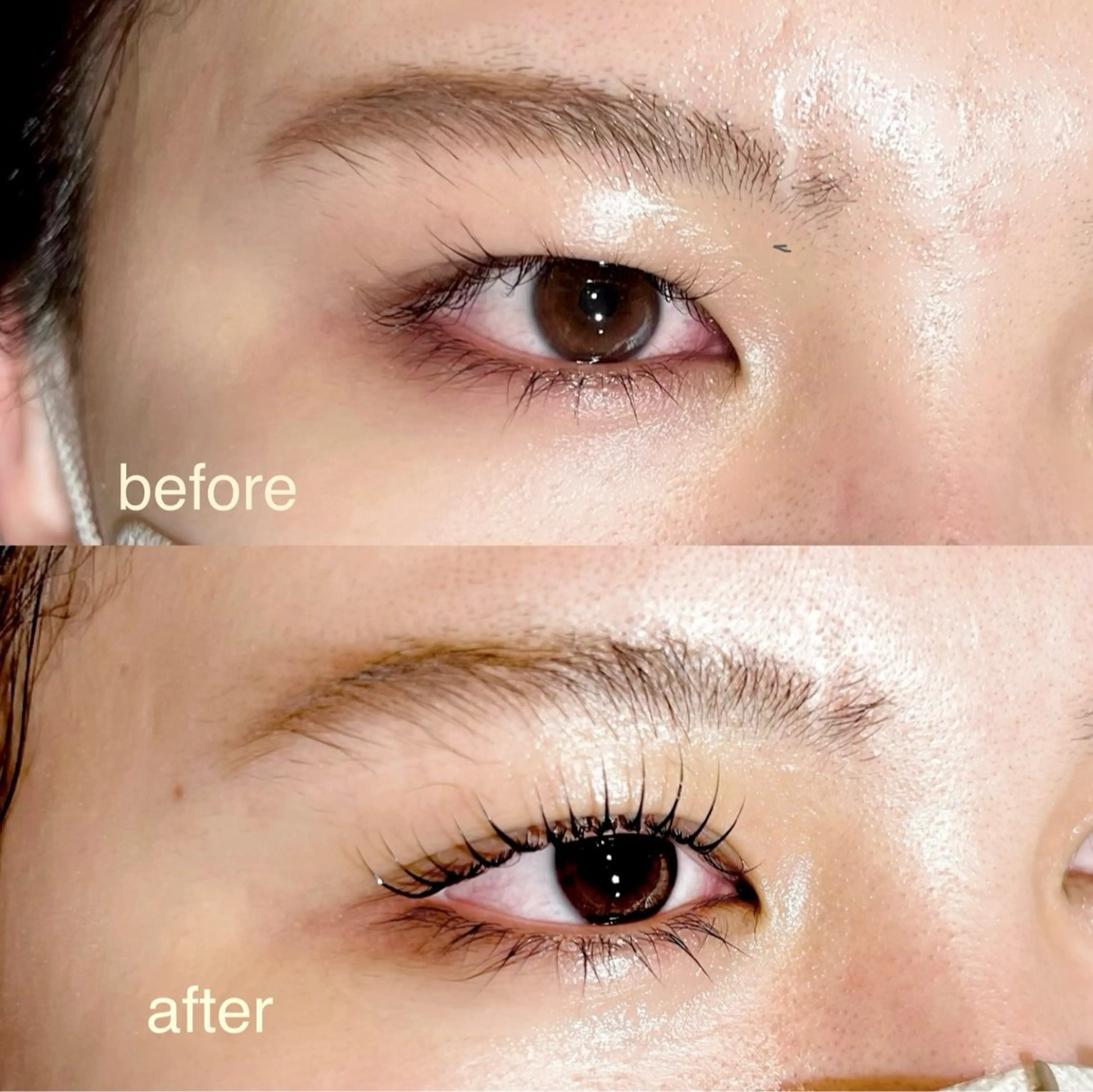 マツエク・マツパ まつげパーマ 🪞理想のお目元に ✨meache🎠のマツエク・マツパデザイン