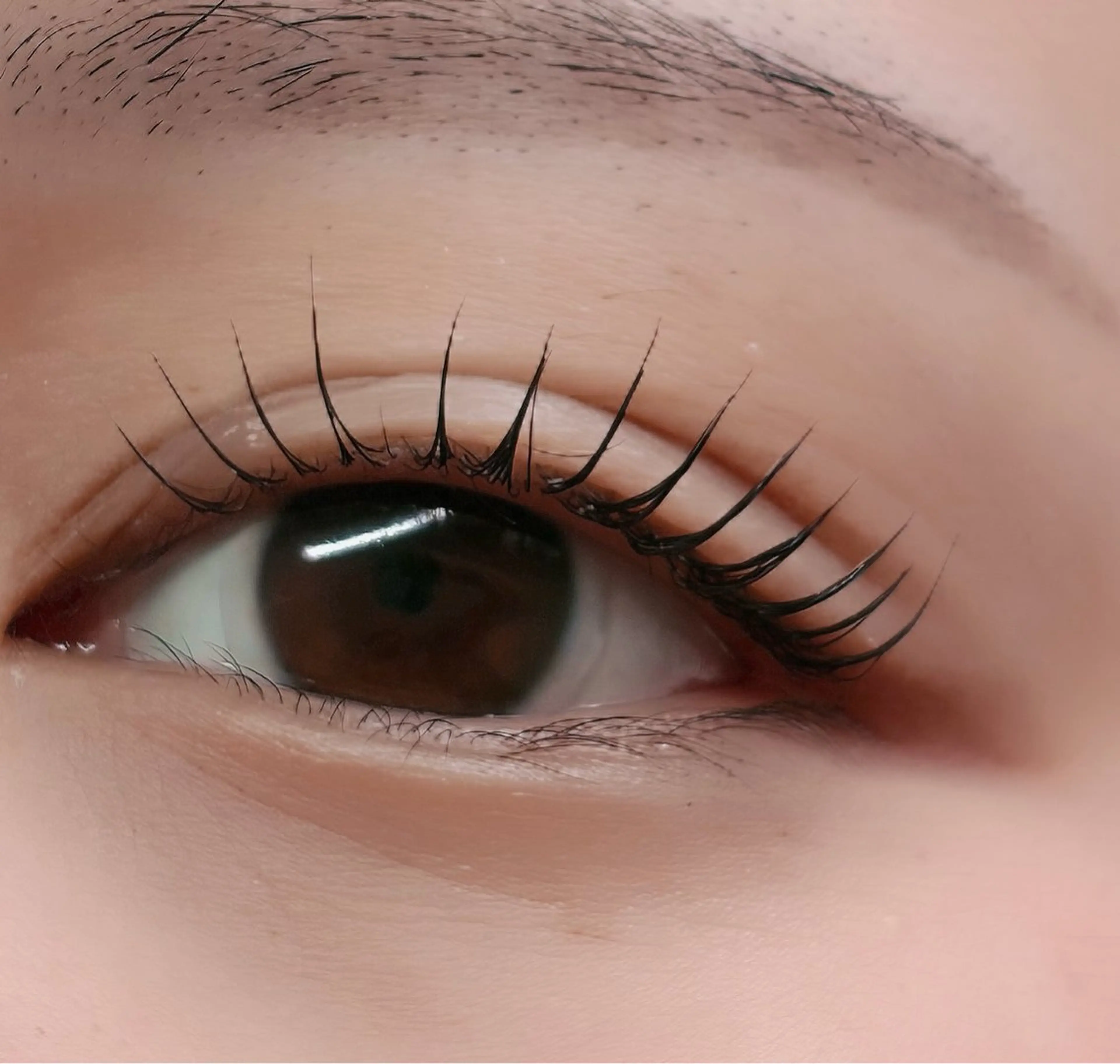 マツエク・マツパ 韓国風マツエク マツパ ルチア💞 lucia高田馬場のマツエク・マツパデザイン