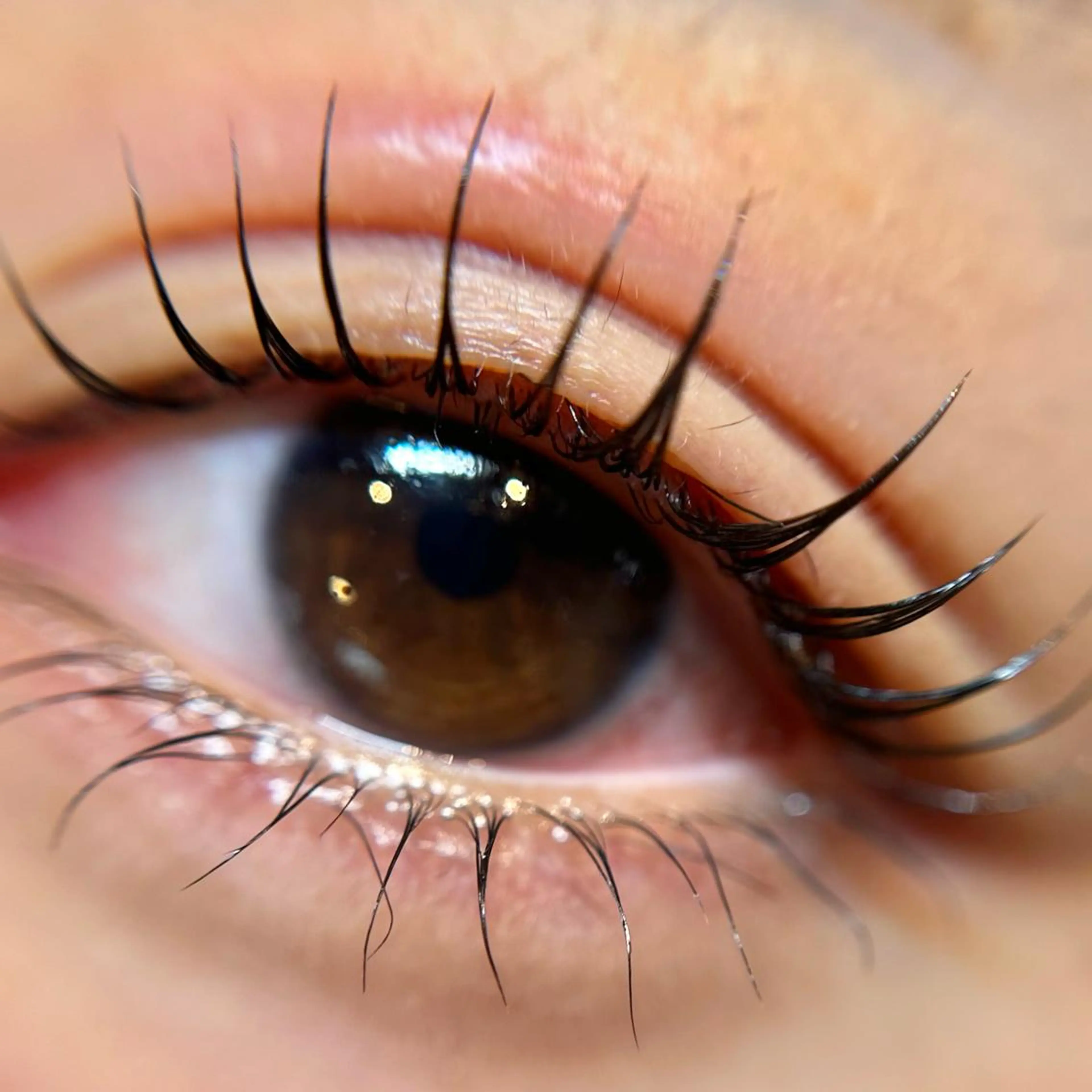 マツエク・マツパ komatsu eyelash恵比寿のマツエク・マツパデザイン