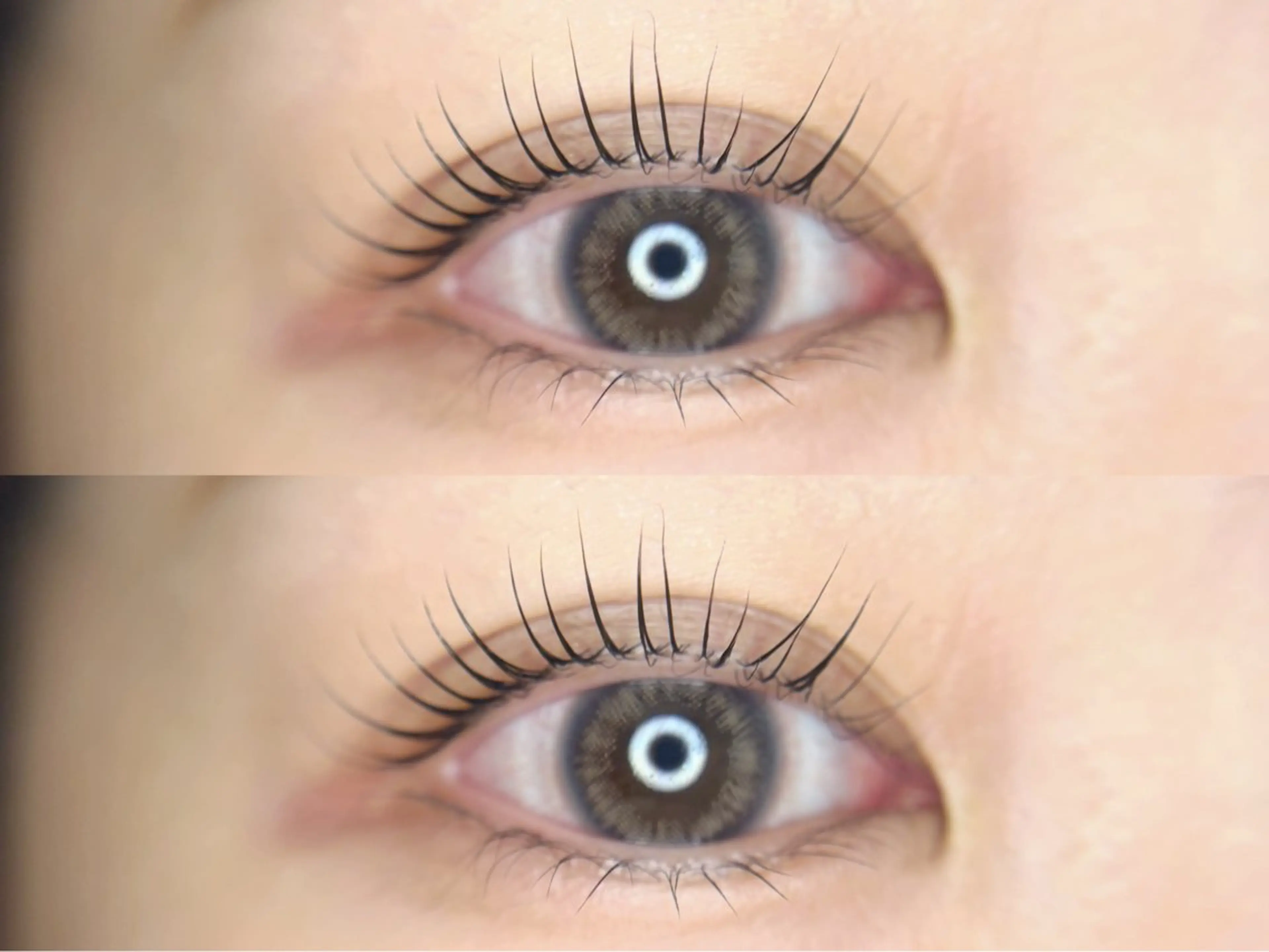 【先着3名様まで】まつげパーマ🫧🆕ロッドお試しモデル✨️の写真