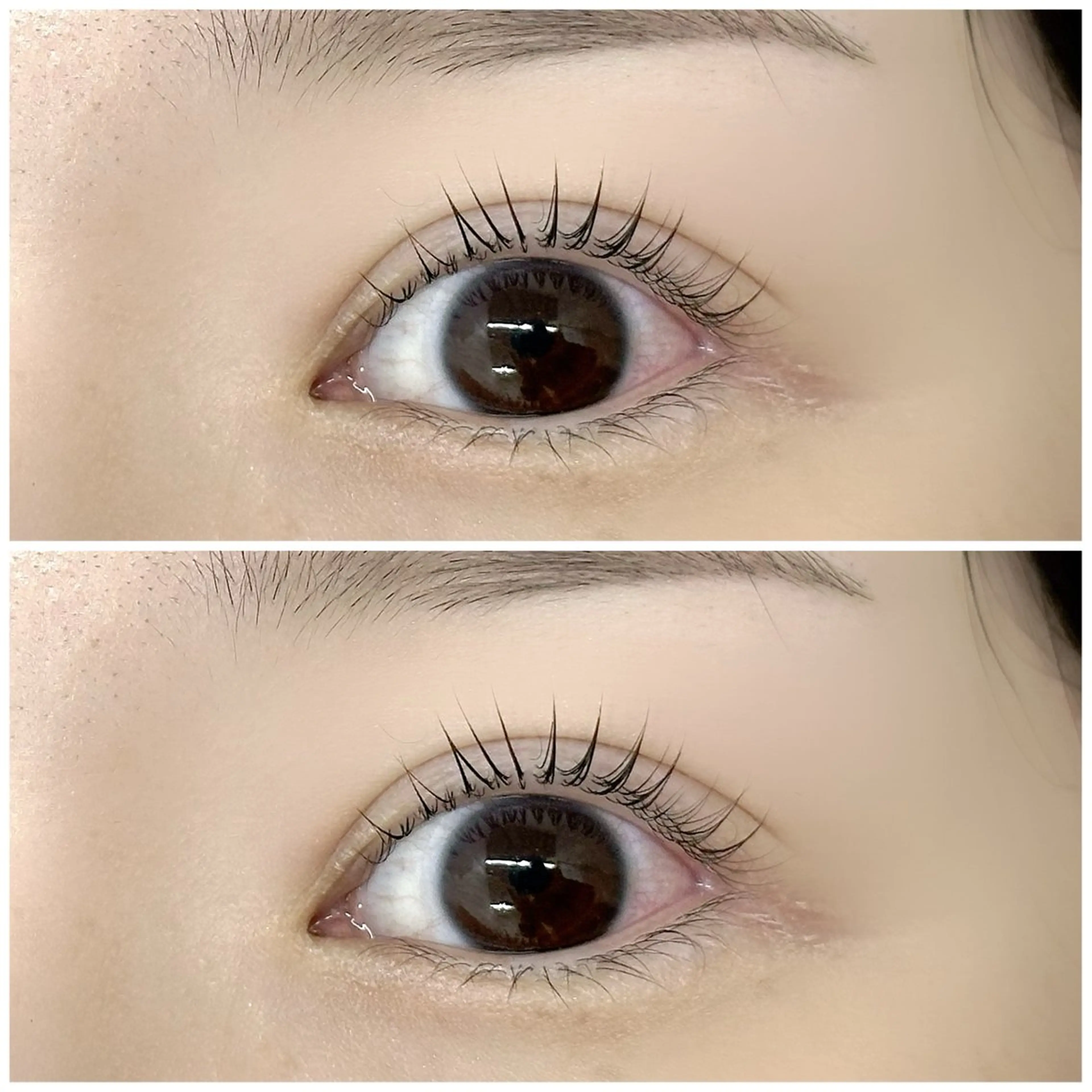 マツエク・マツパ マツパ _white 上本町のマツエク・マツパデザイン