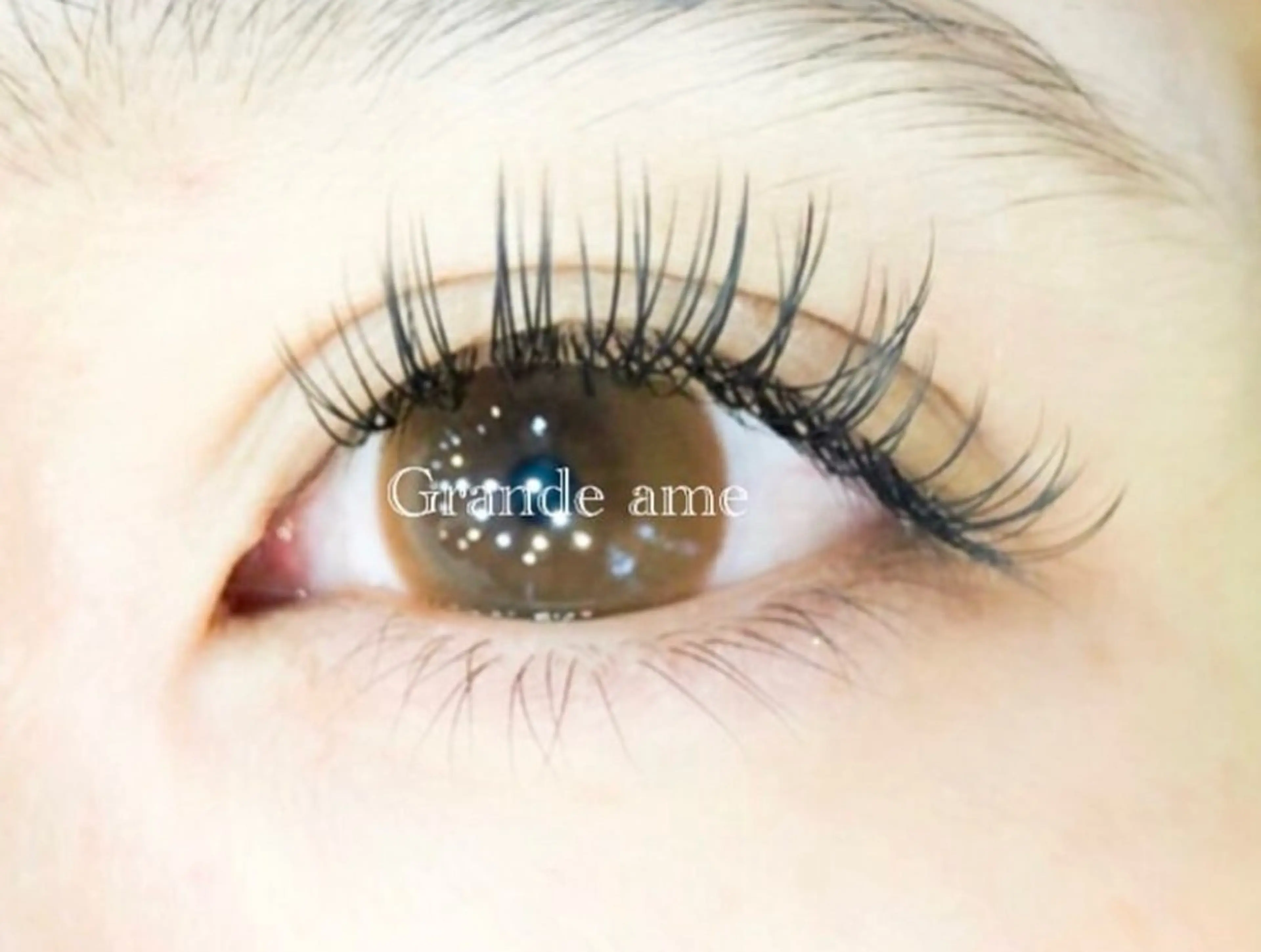 フラットマットラッシュ120本の写真