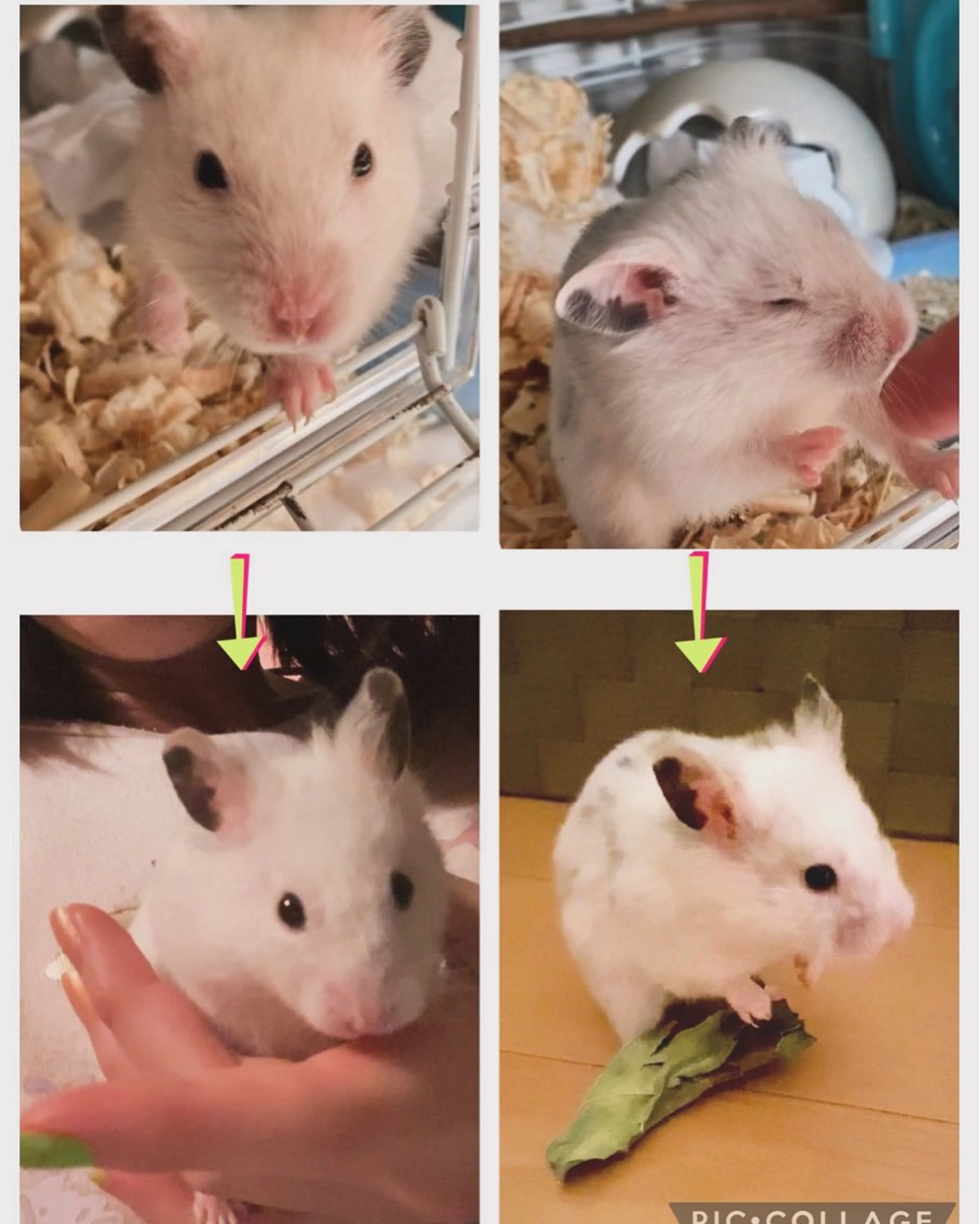 出張リラク/ペット 空 -sora-のエステ・リラクイメージ