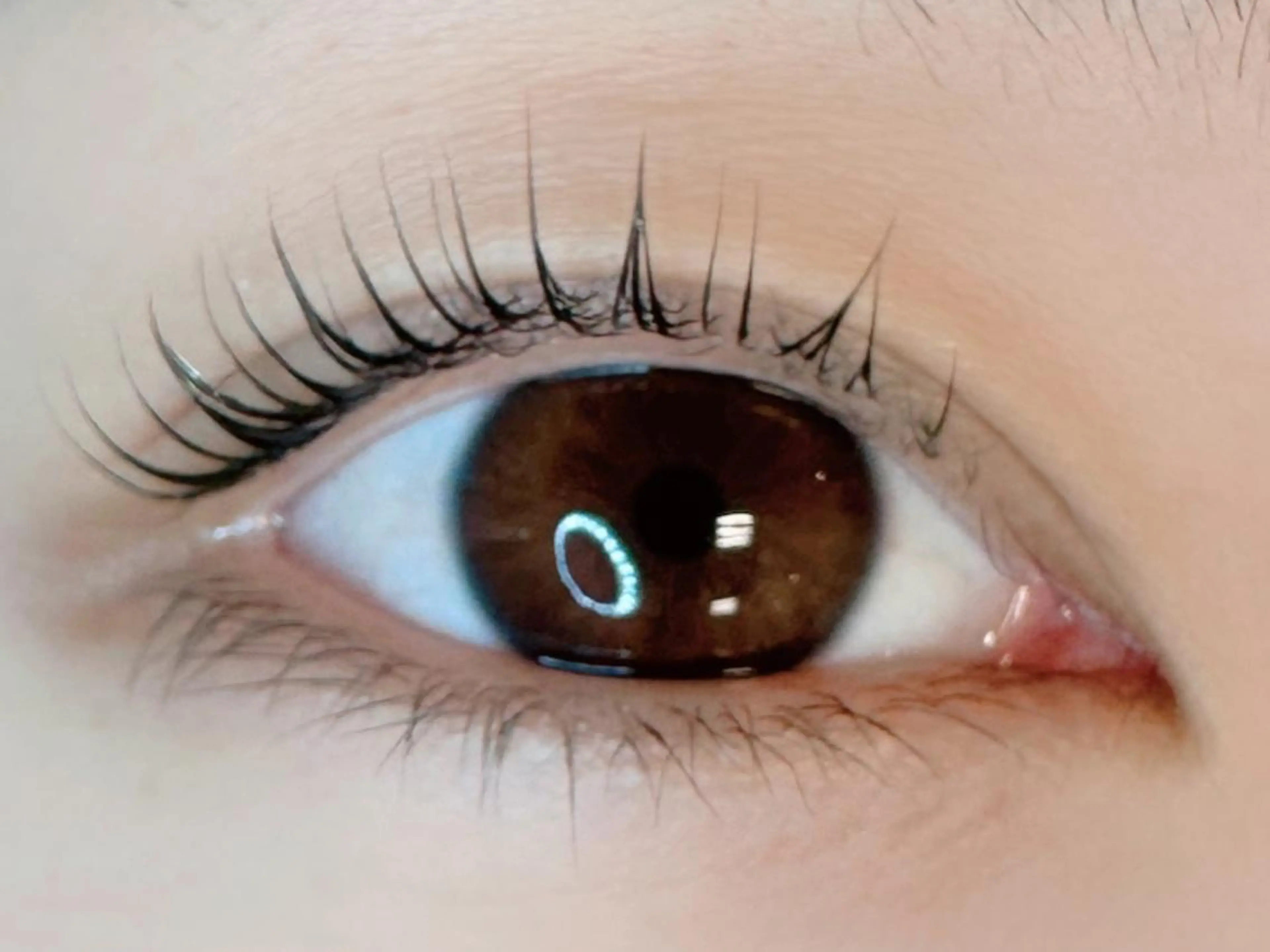 マツエク・マツパ Mian津田沼🌺 ひかりのマツエク・マツパデザイン