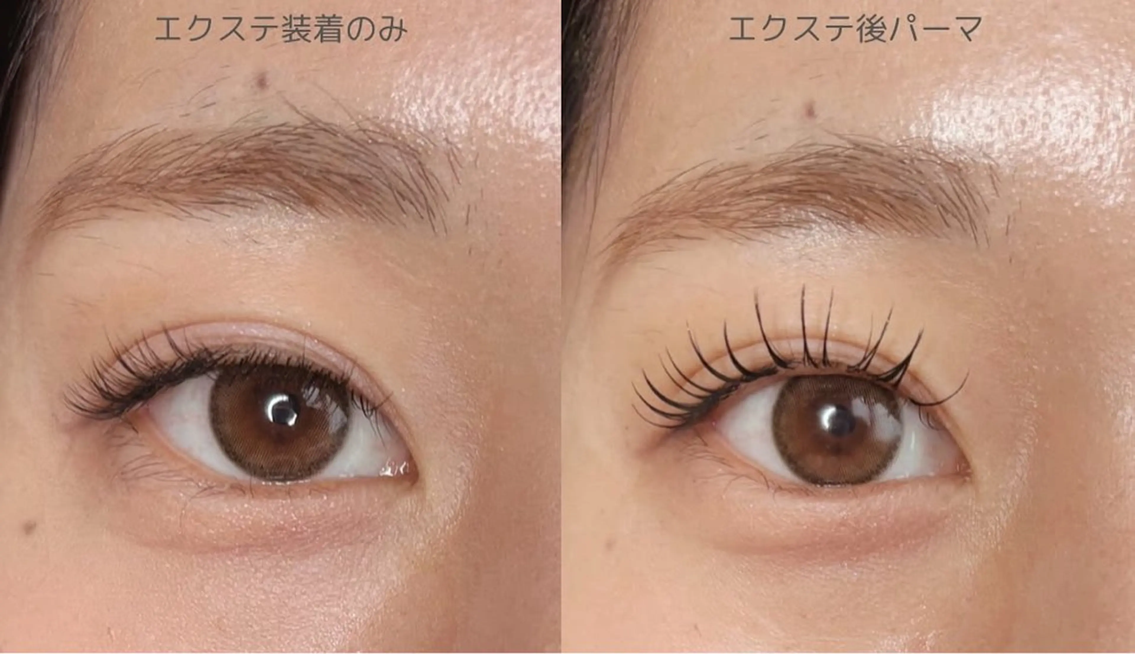 マツエク・マツパ ナチュラル 一重×まつ毛パーマ Perl blueの眉毛・アイブロウイメージ