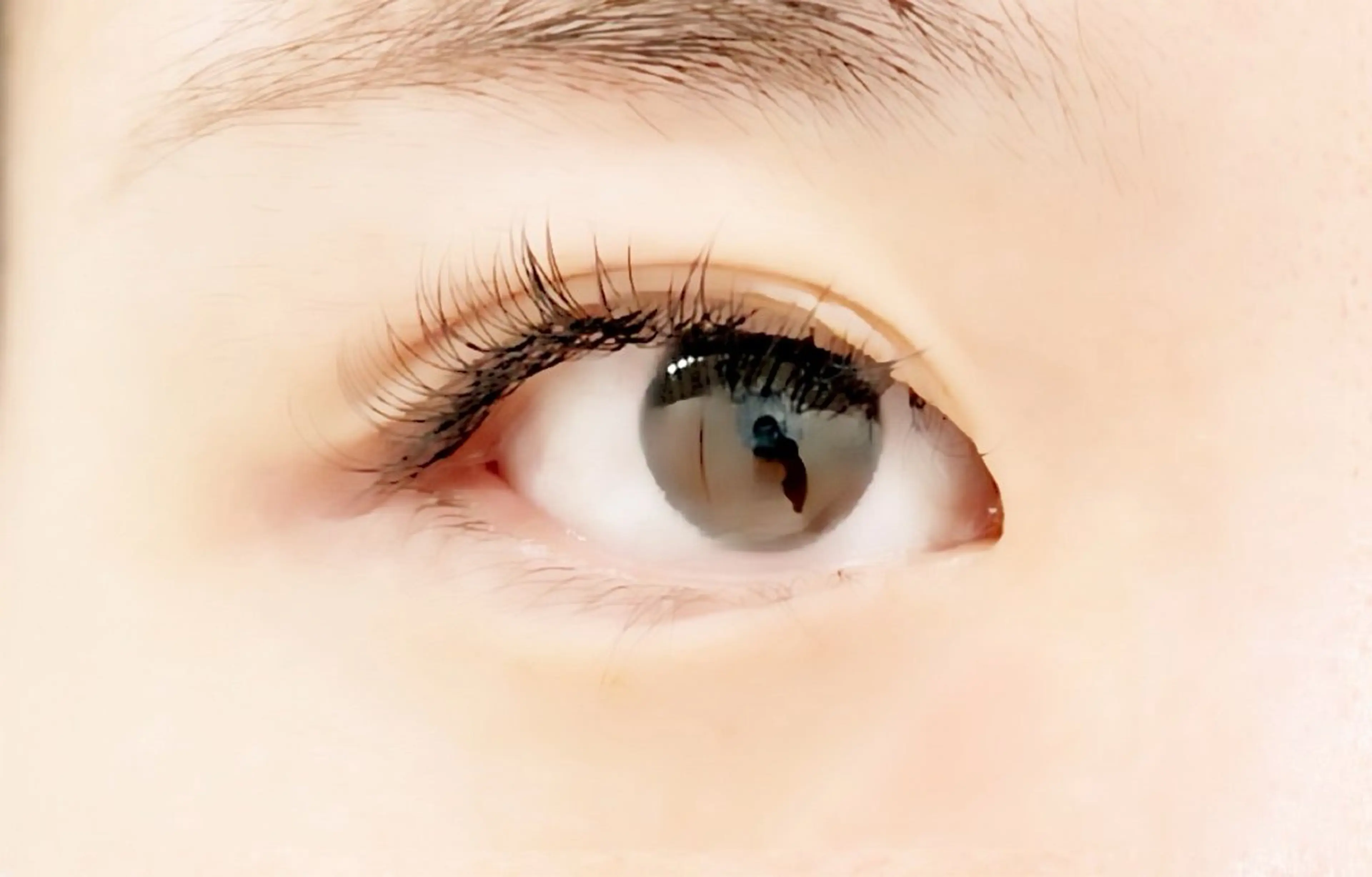 【フラットラッシュ】まつ毛エクステ120本＋アイシャンプー付き＋オフ込み　Dカールの写真