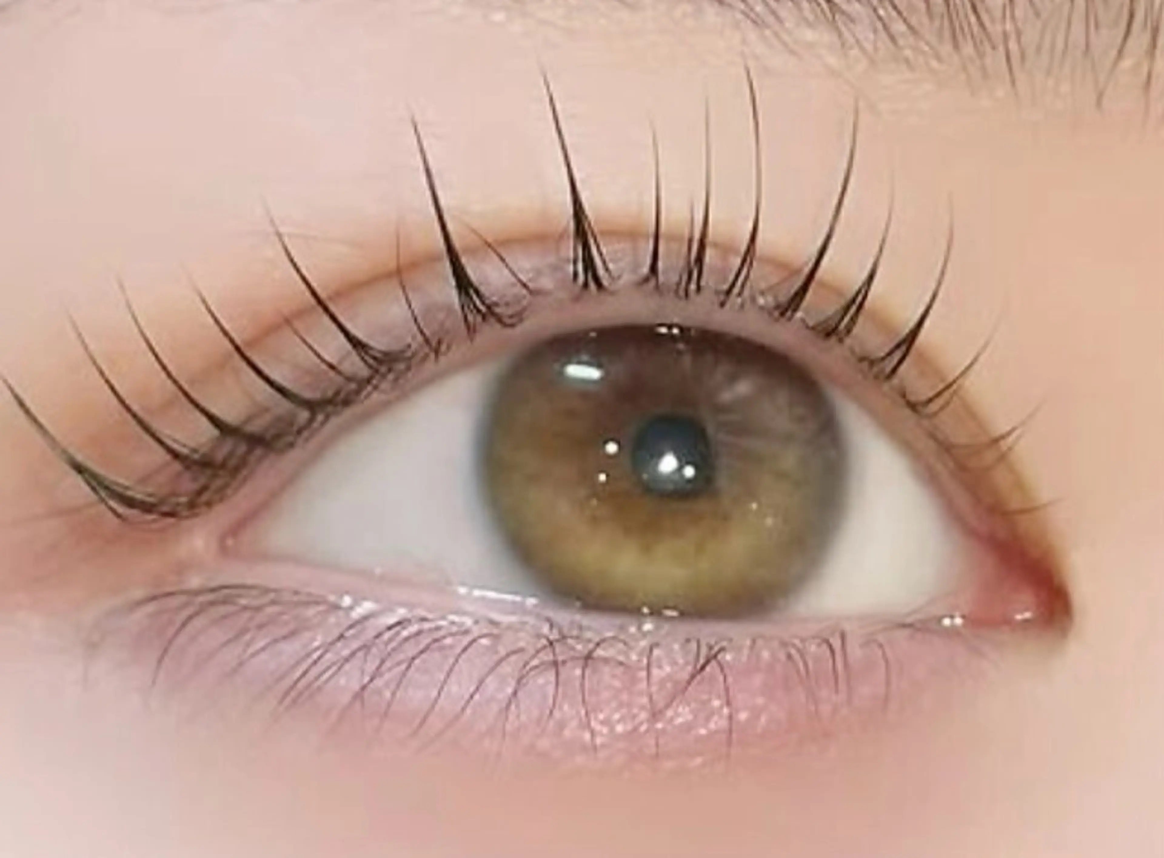 マツエク・マツパ lucil 岡部の眉毛・アイブロウイメージ