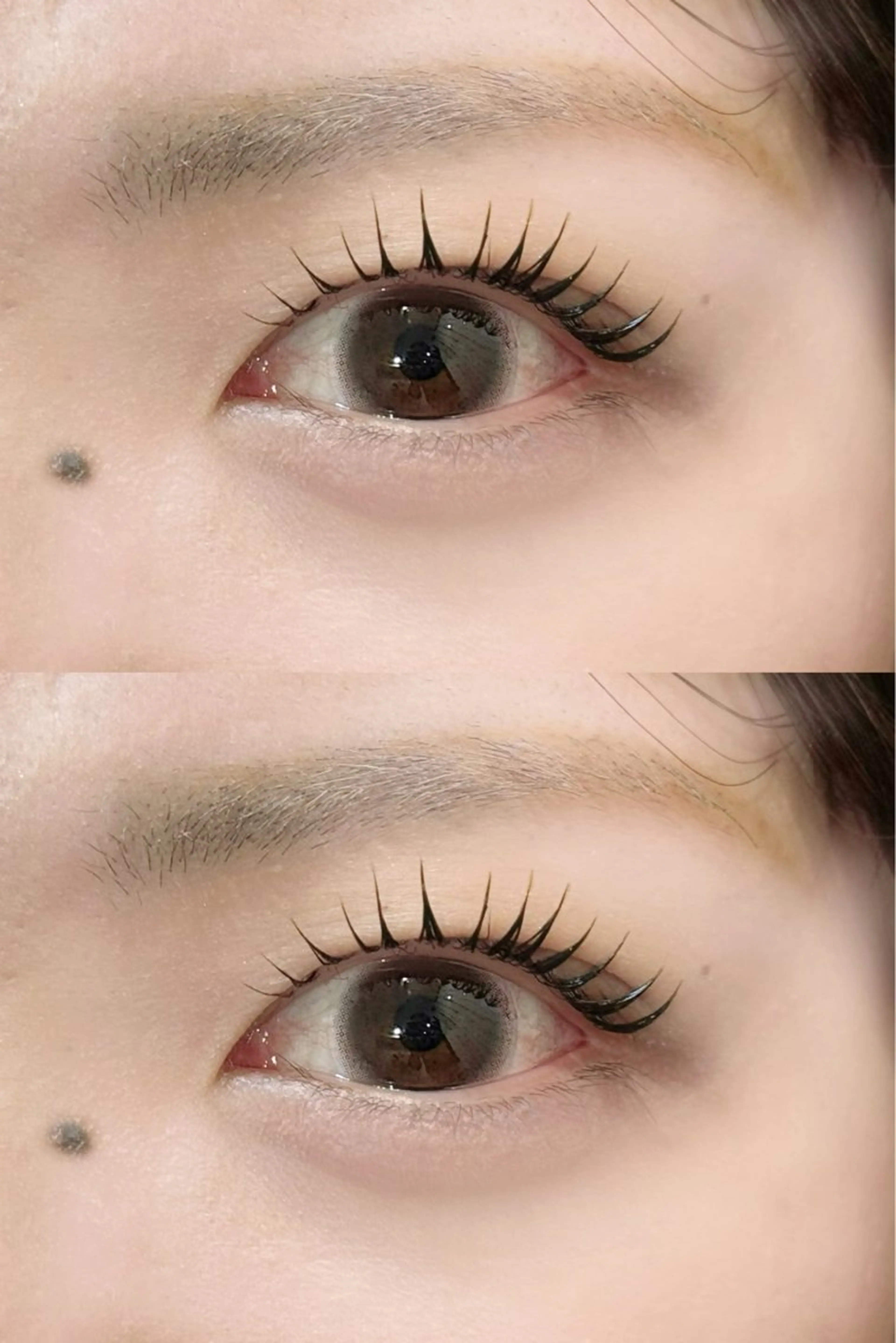 マツエク・マツパ マツパ 𝐞𝐢𝐠𝐡𝐭 yuzuki🫧の眉毛・アイブロウイメージ