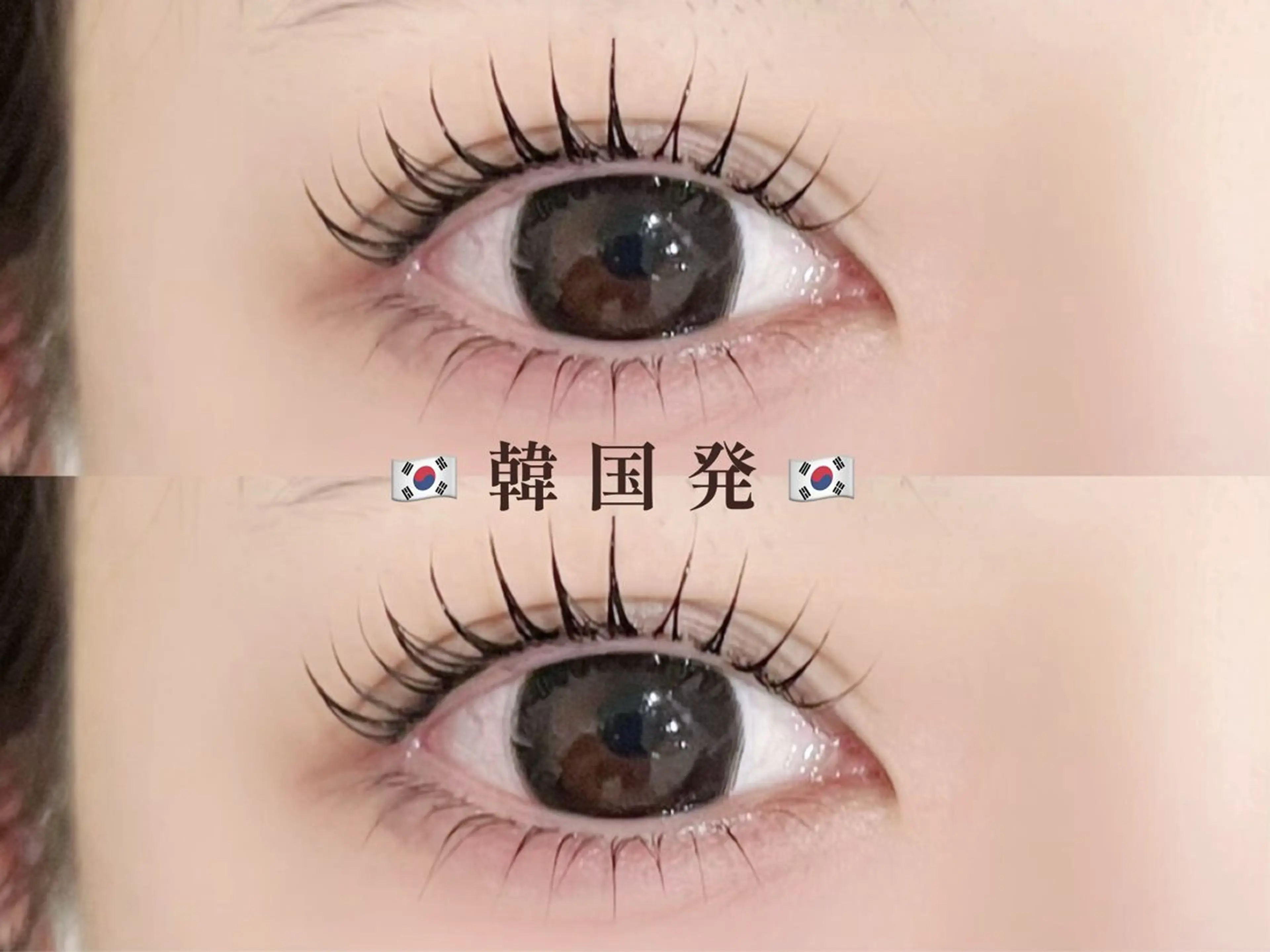 【🇰🇷韓国発🇰🇷】ブラックティント♥マスカラパーマ【韓国で話題】(パリ変更+¥550)の写真