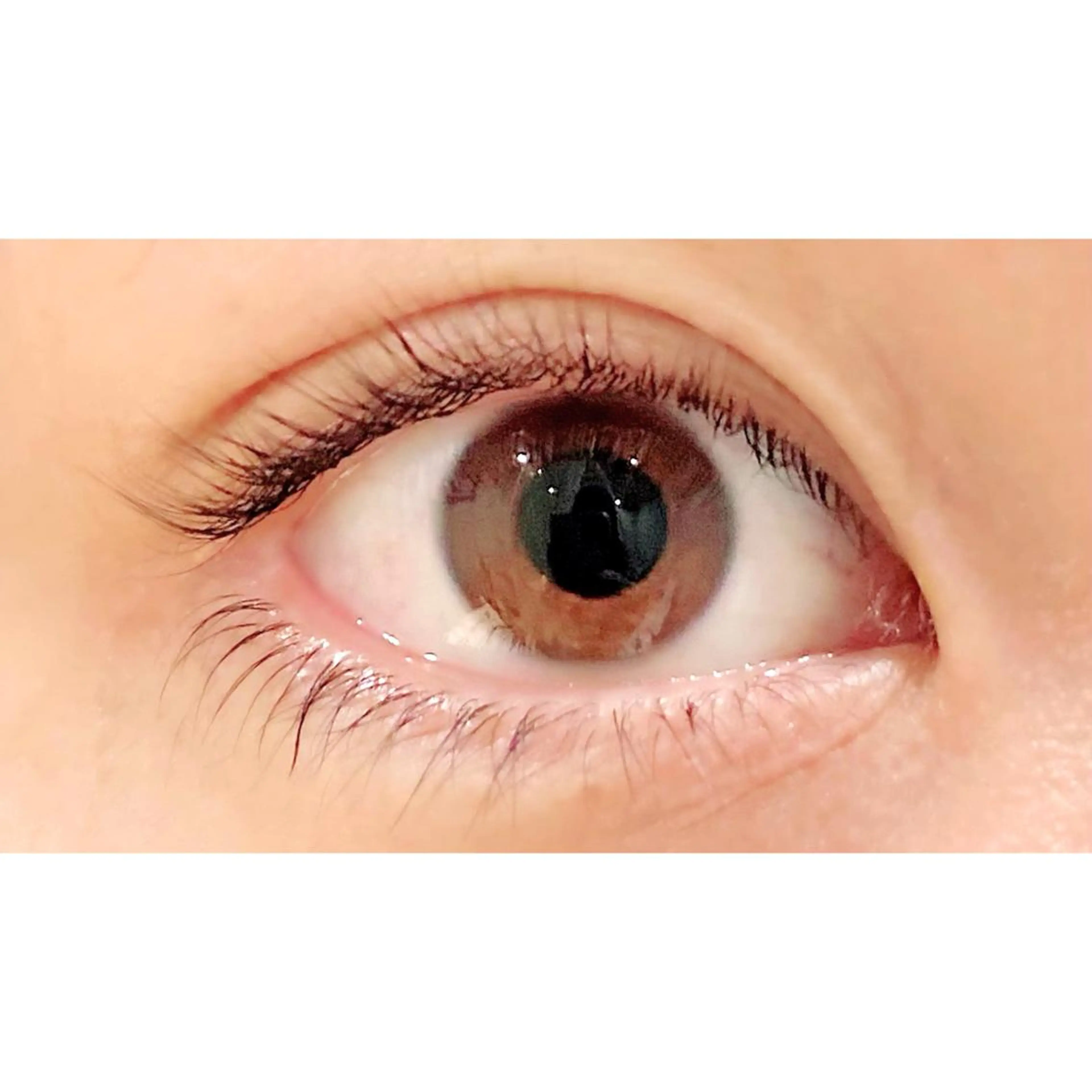 マツエク・マツパ パリジェンヌラッシュリフト Bianca 長津田店　長牛の眉毛・アイブロウイメージ