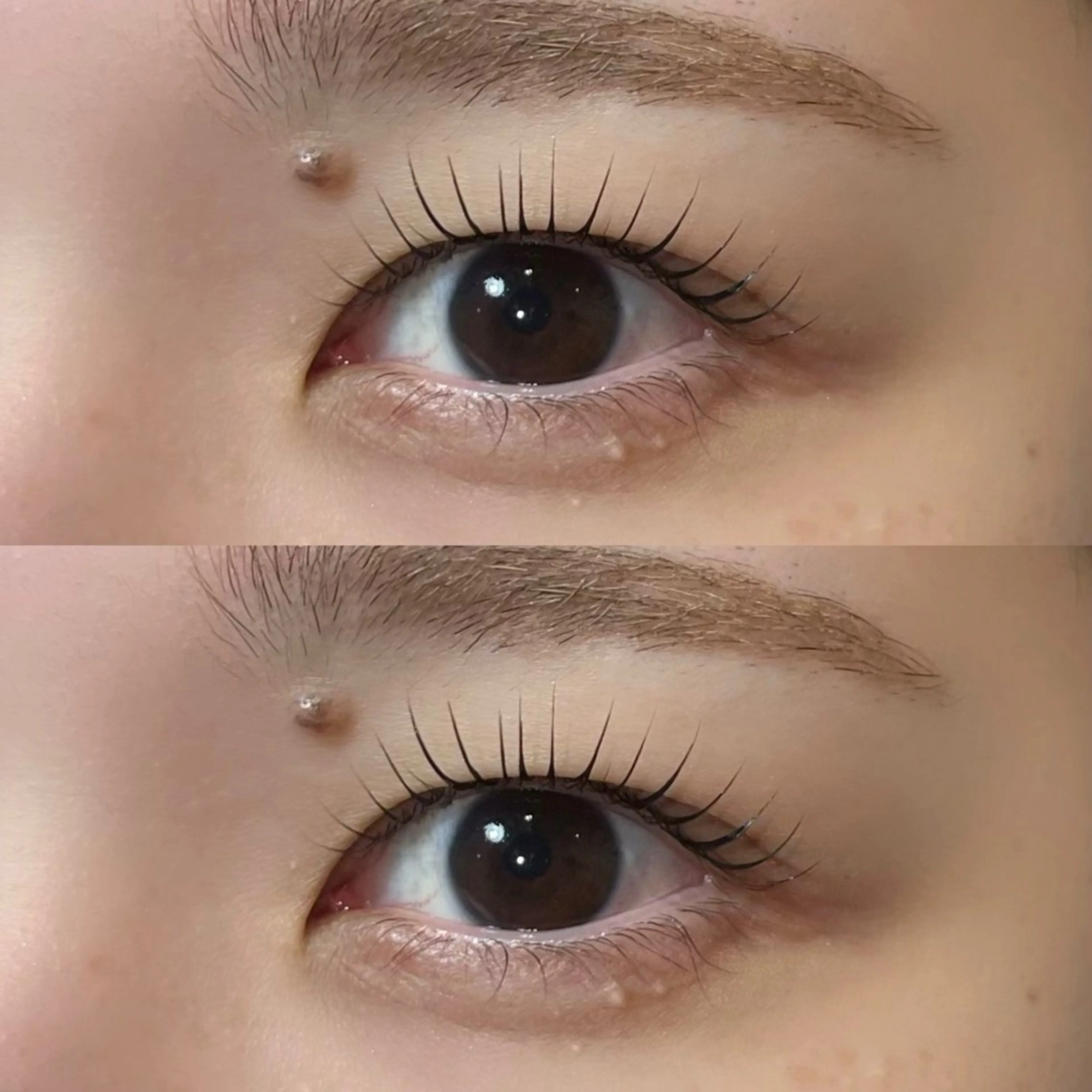 マツエク・マツパ 𝒆𝒊𝒈𝒉𝒕 杏花のマツエク・マツパデザイン