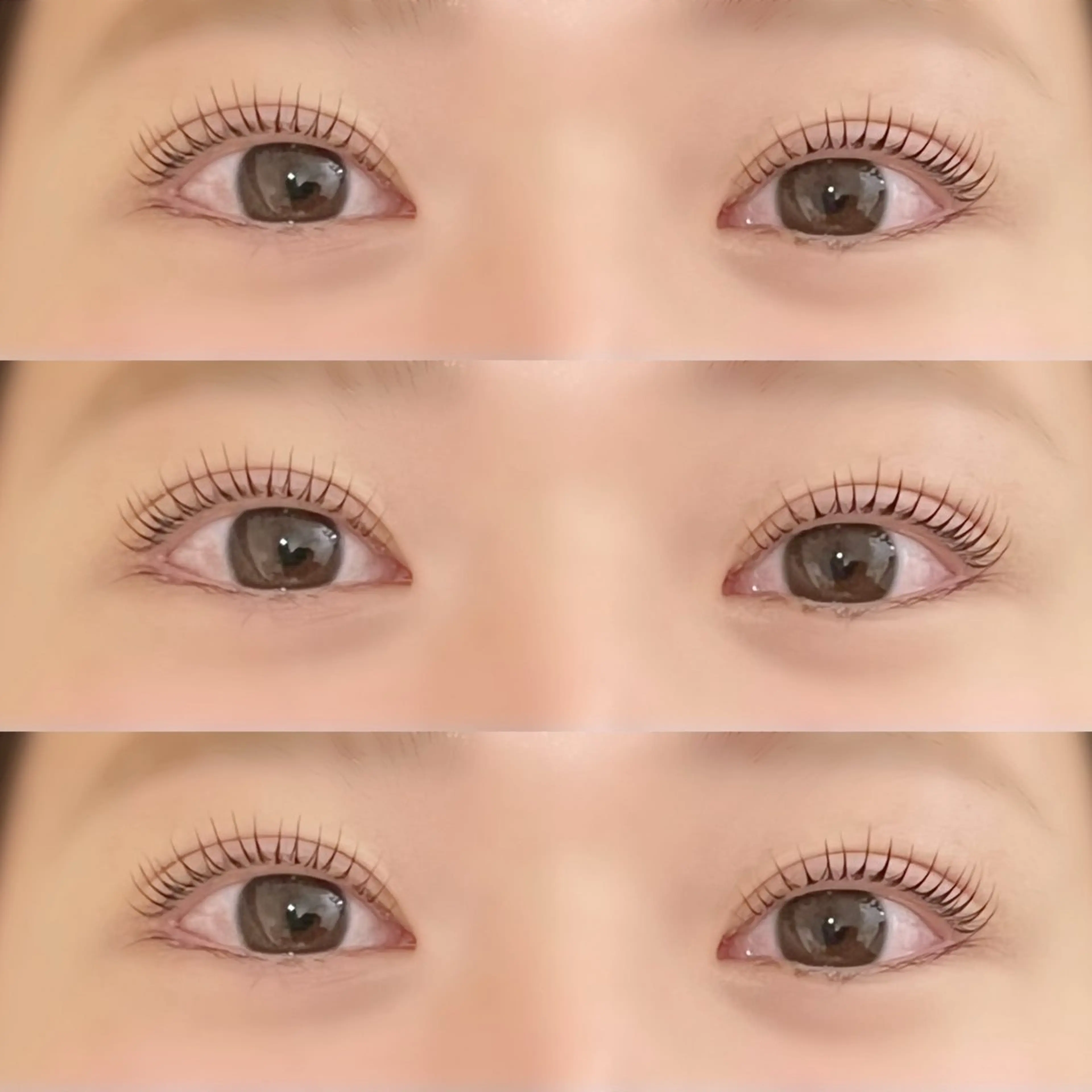 期間限定✨️パリジェンヌラッシュリフト⭐️注意事項を必ずお読みくださいの写真