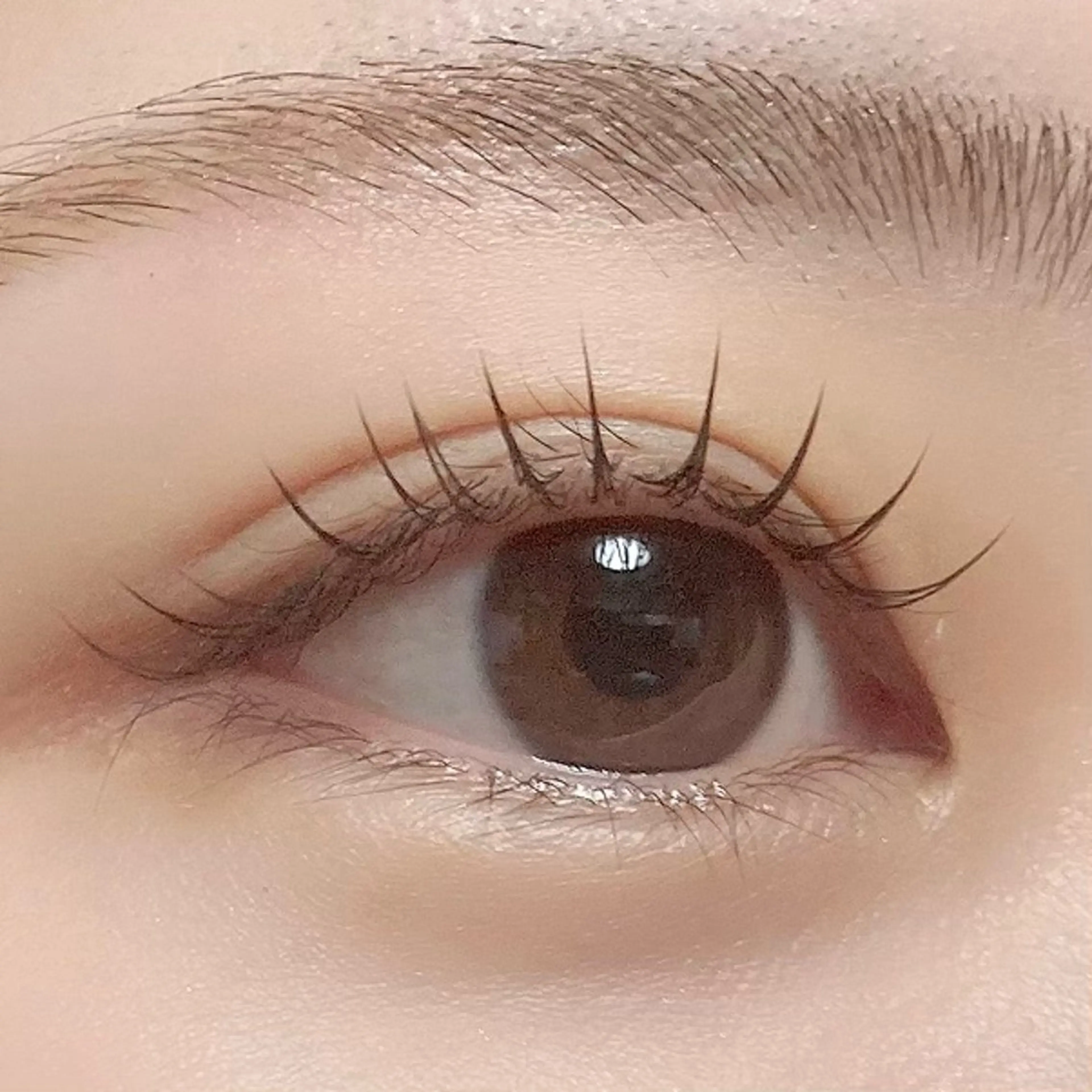 マツエク・マツパ 束感まつ毛 フラットラッシュ マツエク Hase　本八幡 🧸マツエク専門🧸のマツエク・マツパデザイン