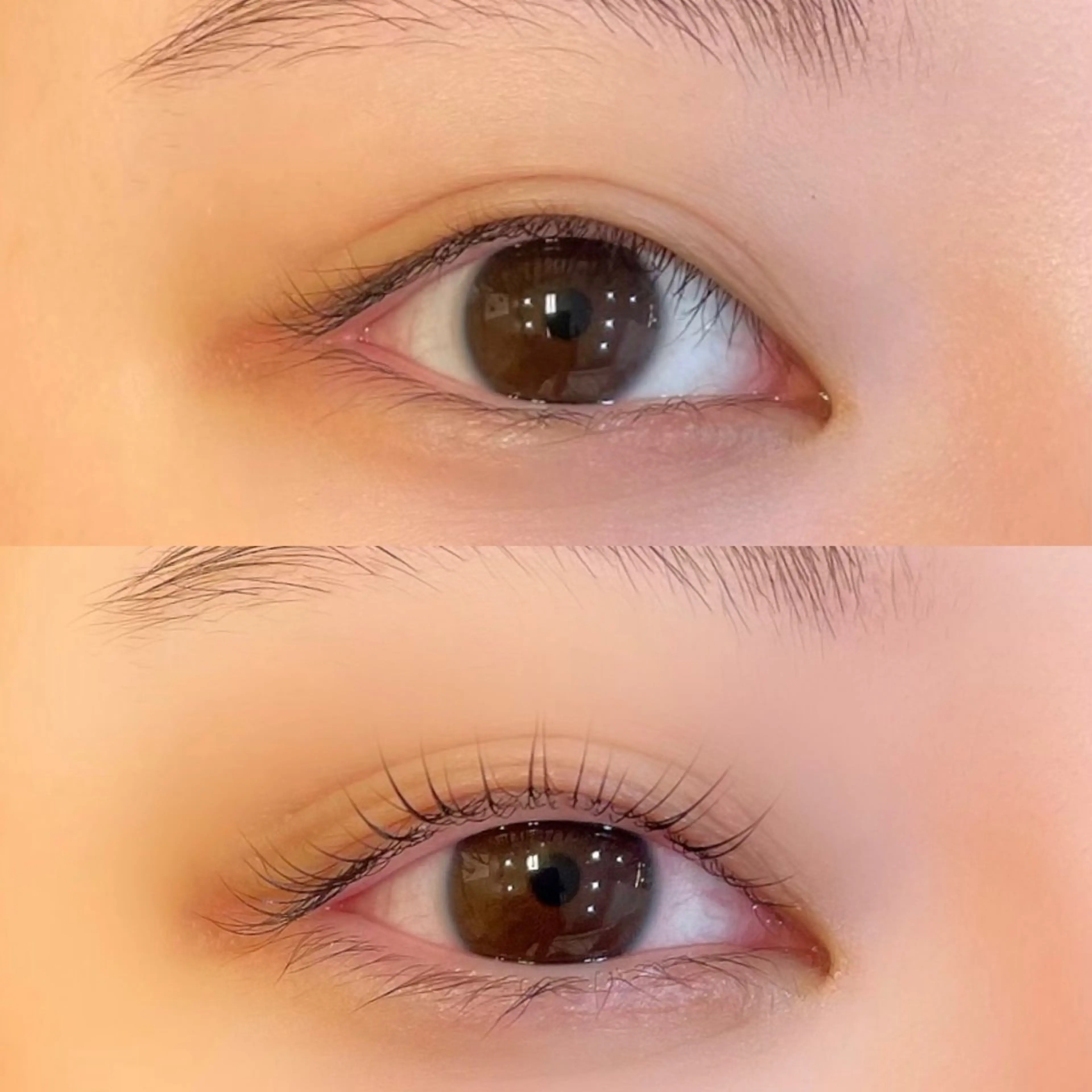 マツエク・マツパ RIM 🕊️ 恵比寿のマツエク・マツパデザイン