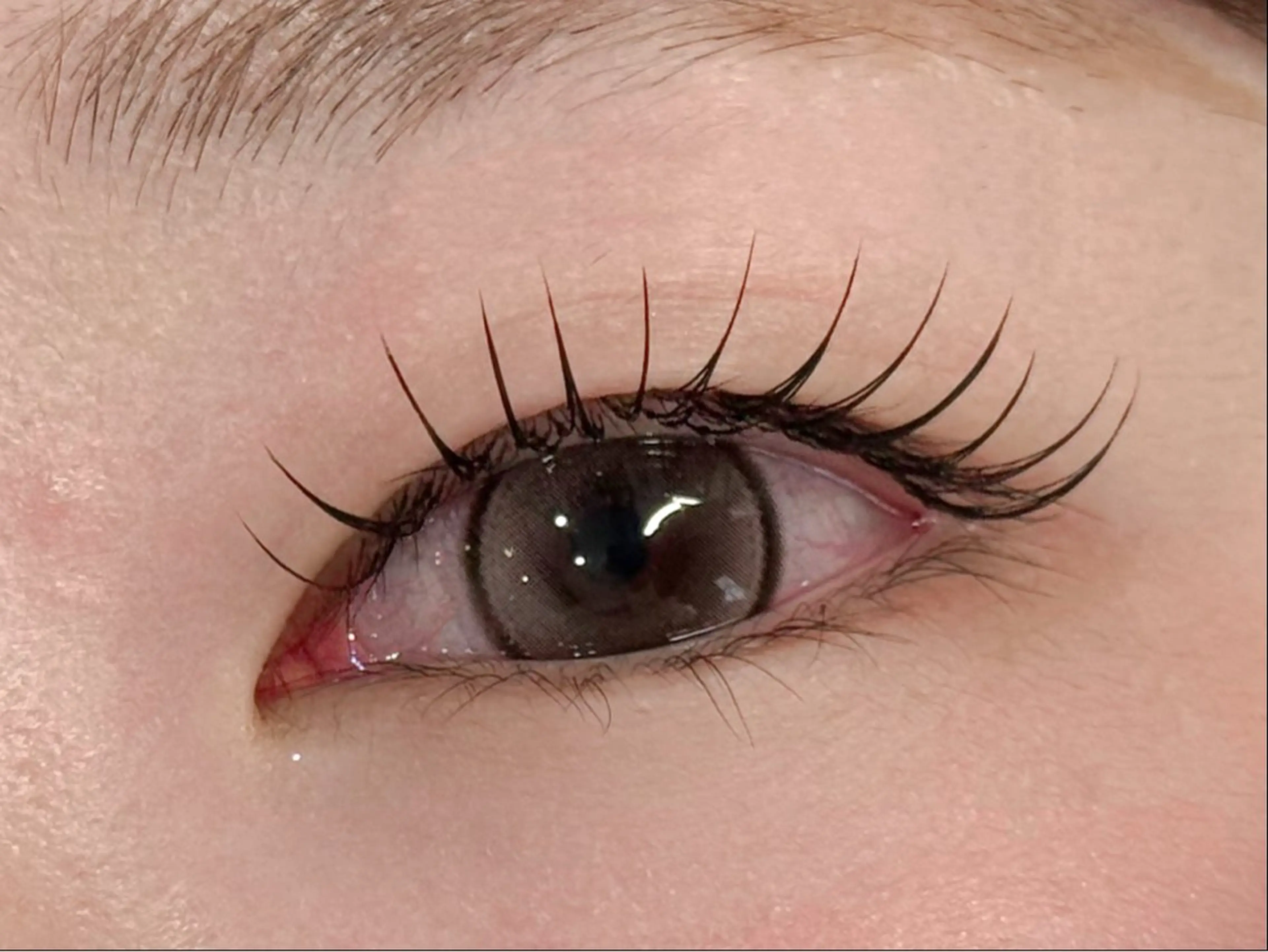 &healthy(アンドヘルシー)🪽マツエク100本/ LEDに変更+1000円★の写真