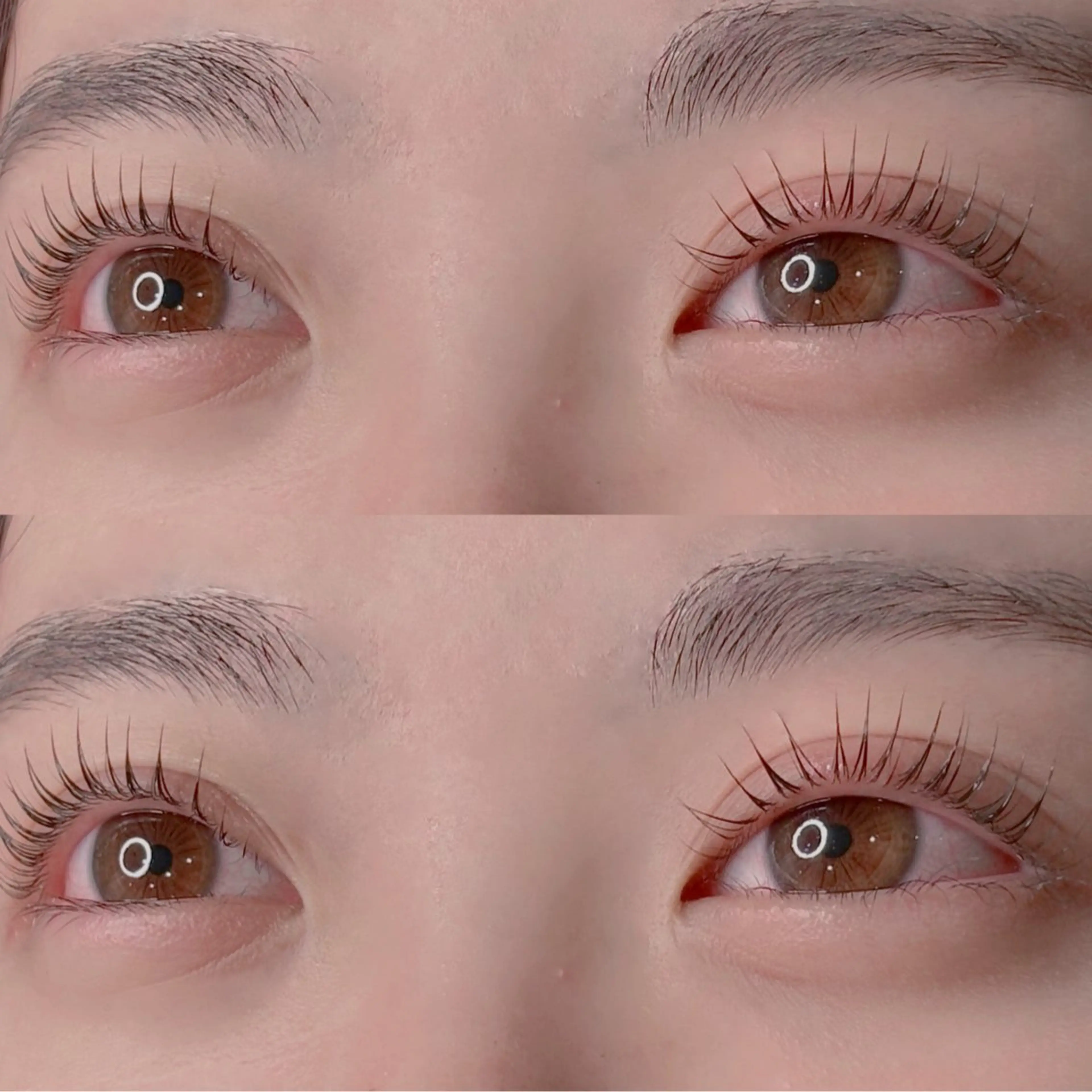 4月限定価格！！韓国風パリジェンヌラッシュリフト🎀の写真