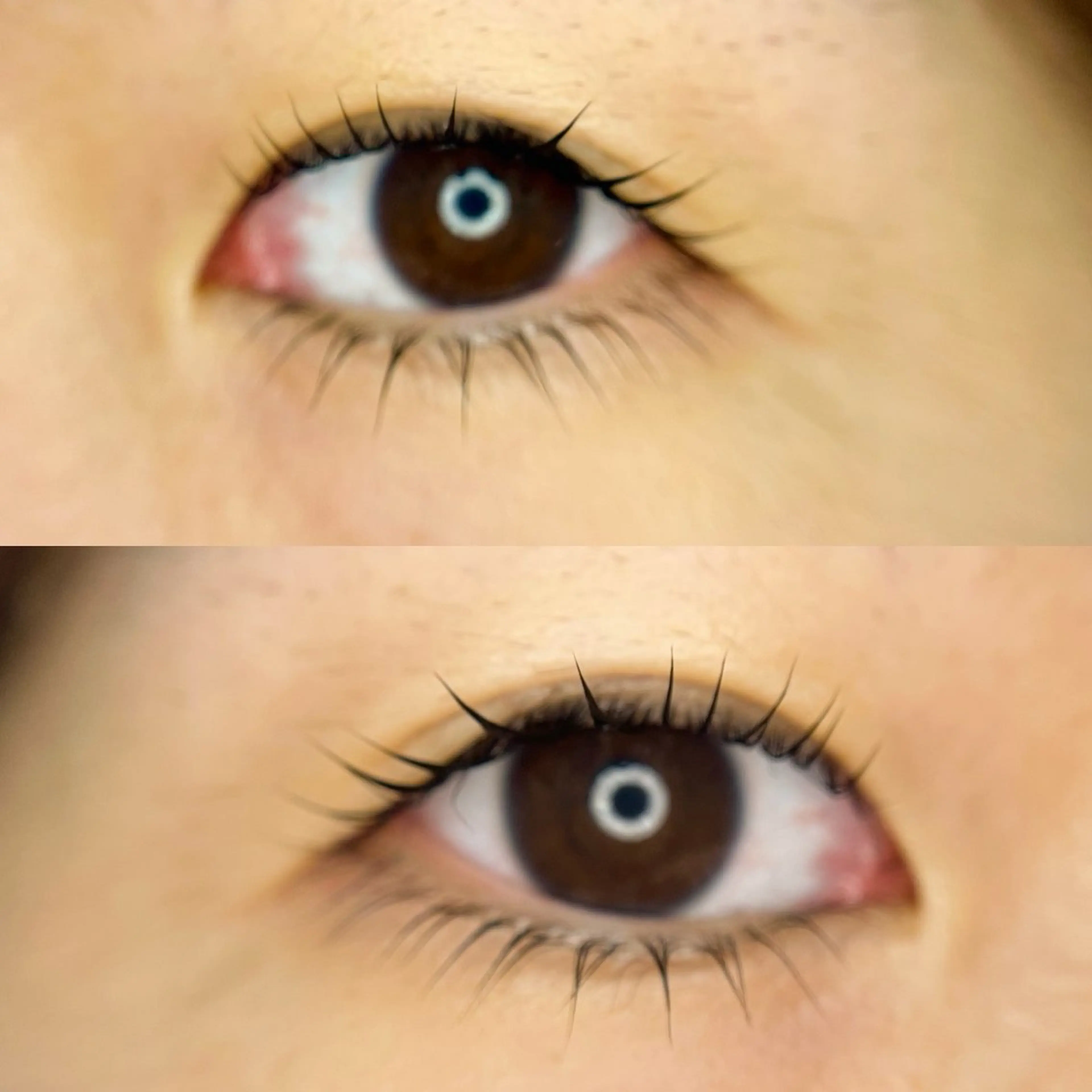 マツエク・マツパ まつげパーマ 下まつげエクステ マツパ Ｆ Xのマツエク・マツパデザイン