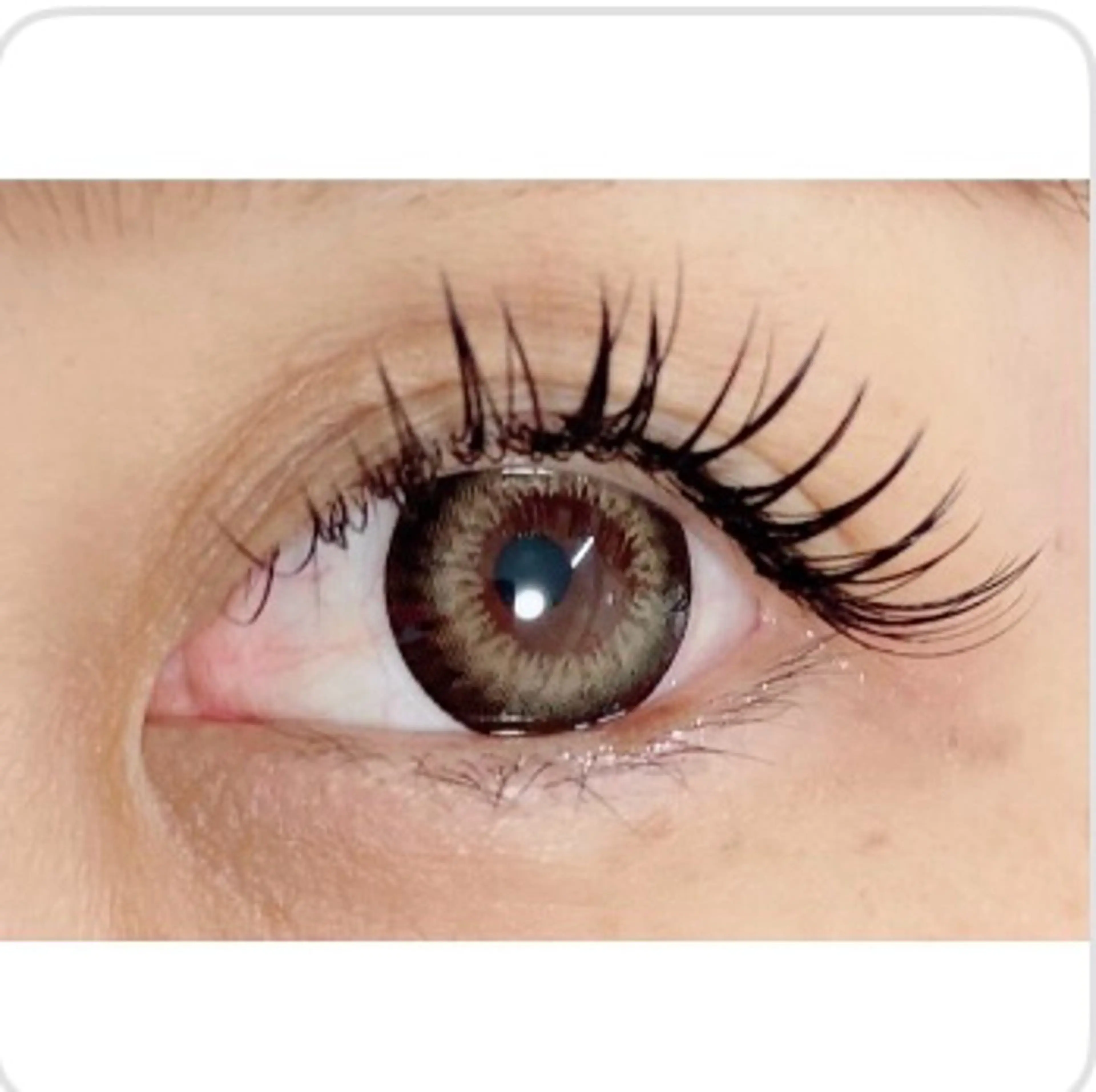 まつエク120本　1ヶ月通い放題の写真