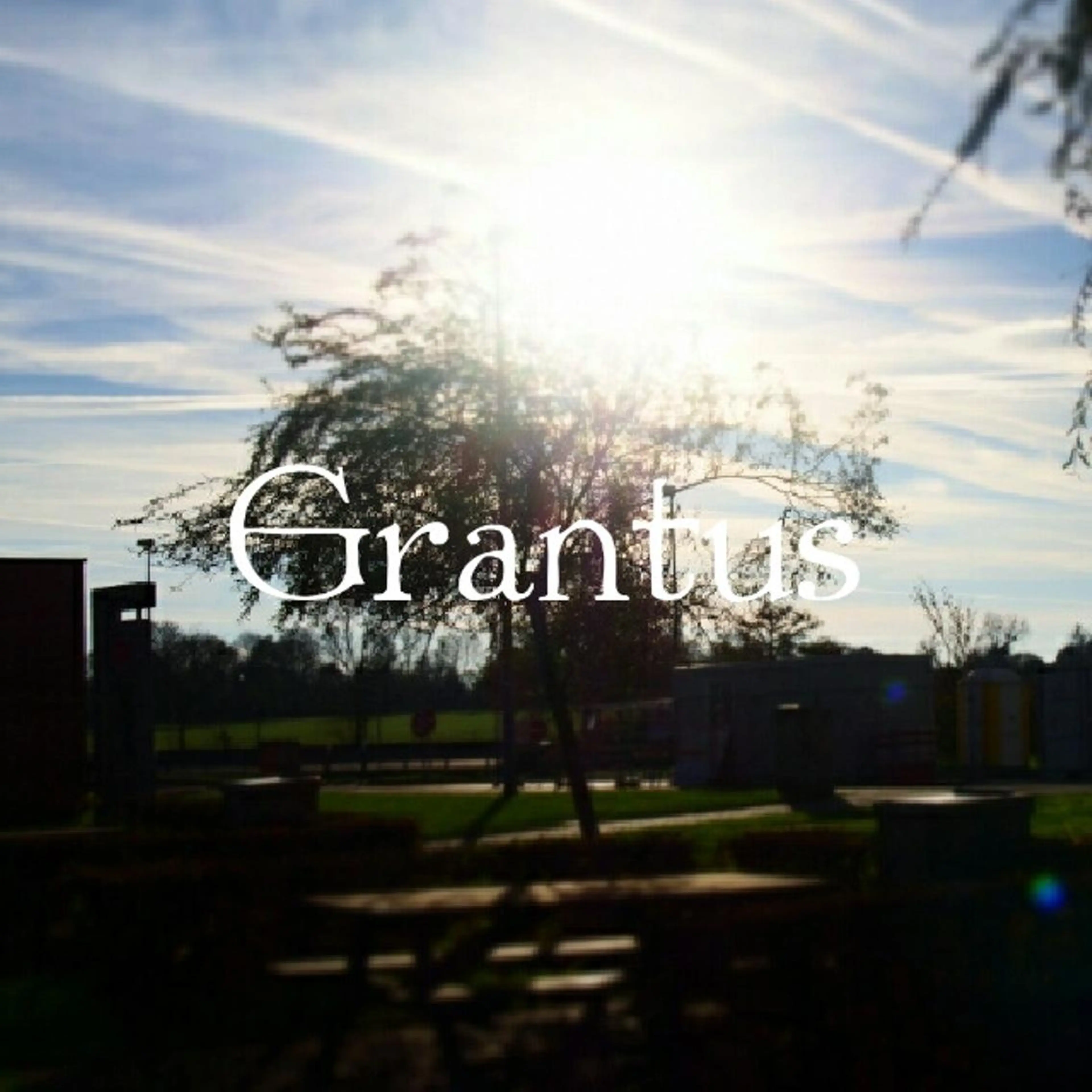 カット パーマ トリートメント ヘッドスパ Grantus (グランタス )のヘアスタイル