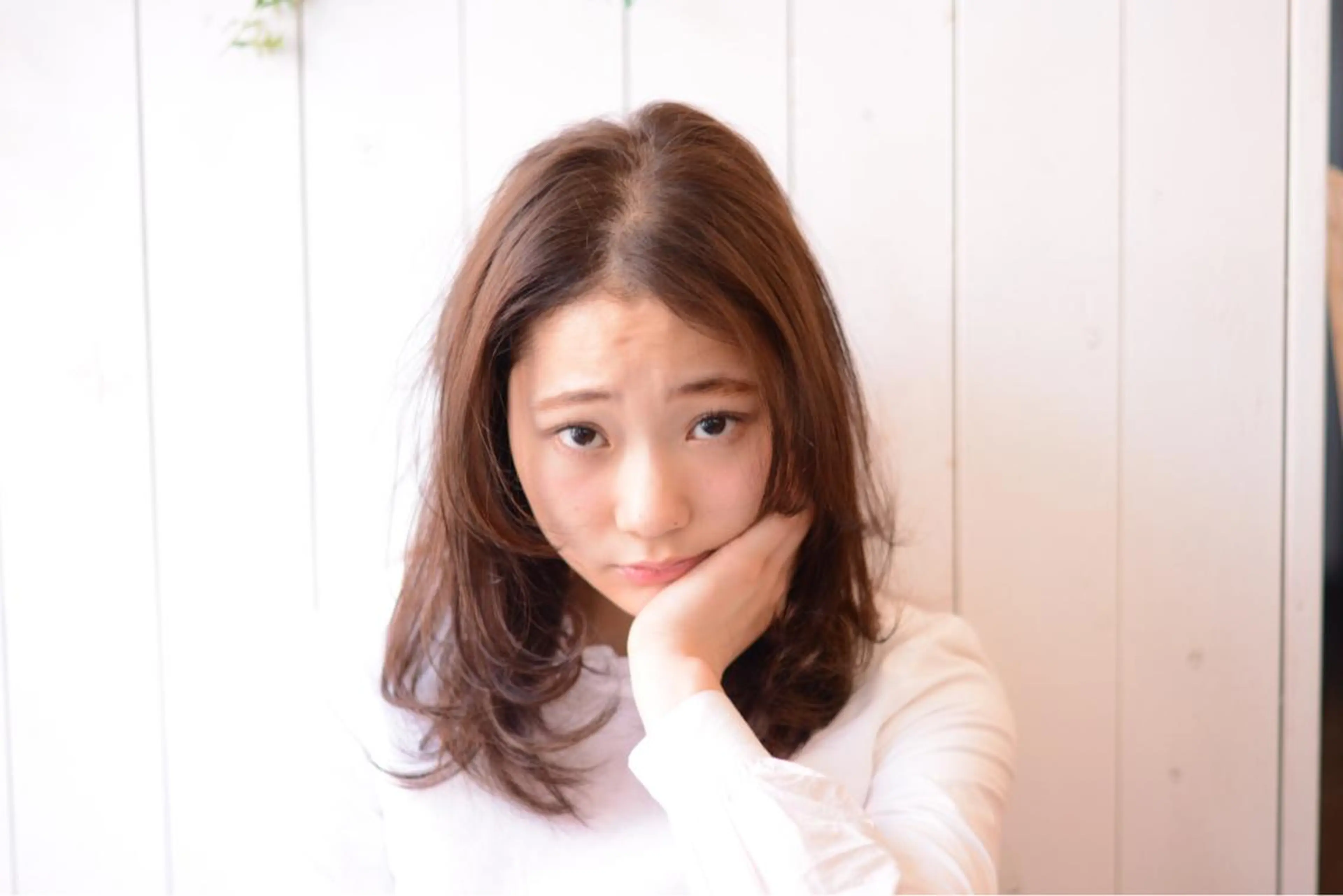 【カラー】の写真