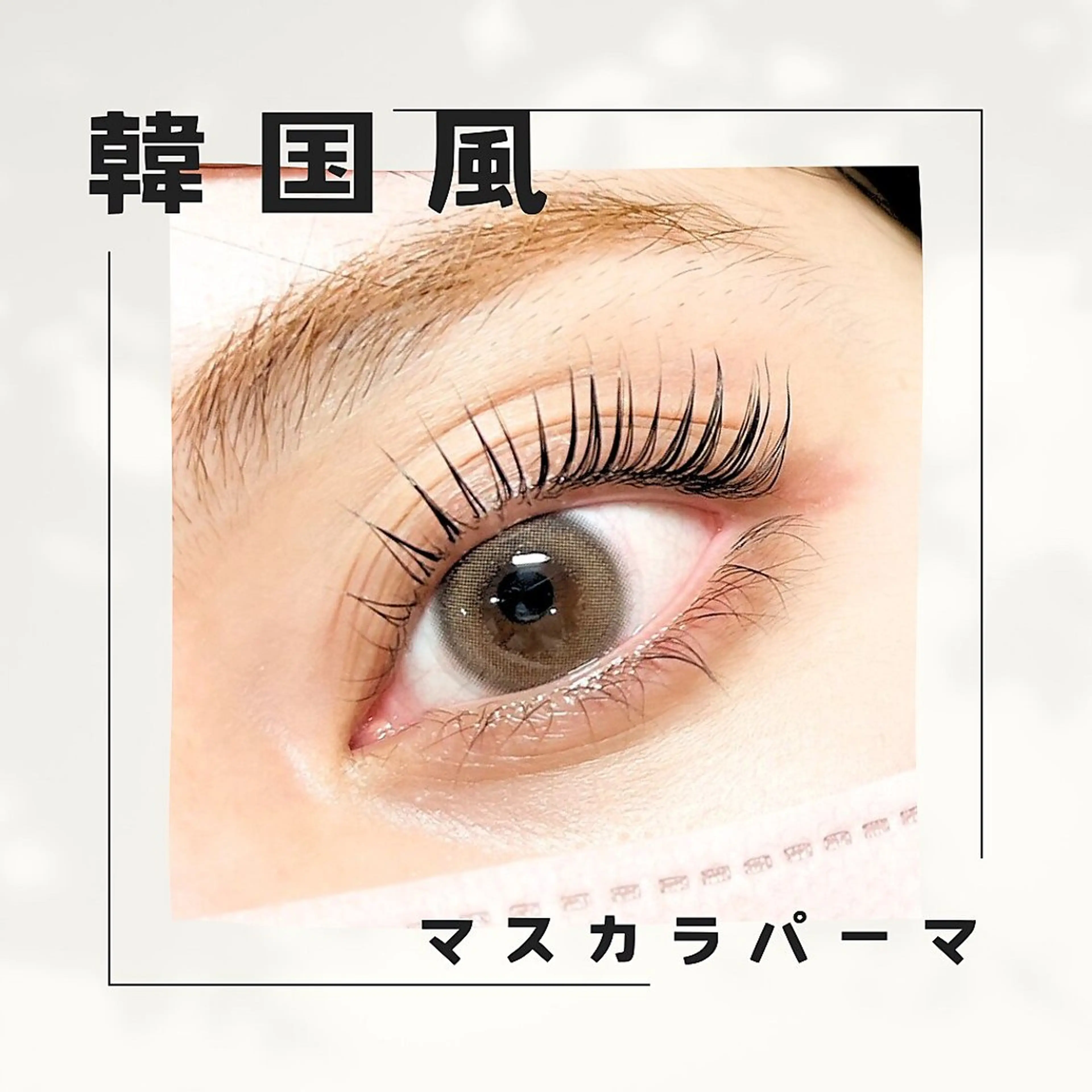 🦋韓国の最新トレンド！マスカラパーマ【ブラックティント】の写真