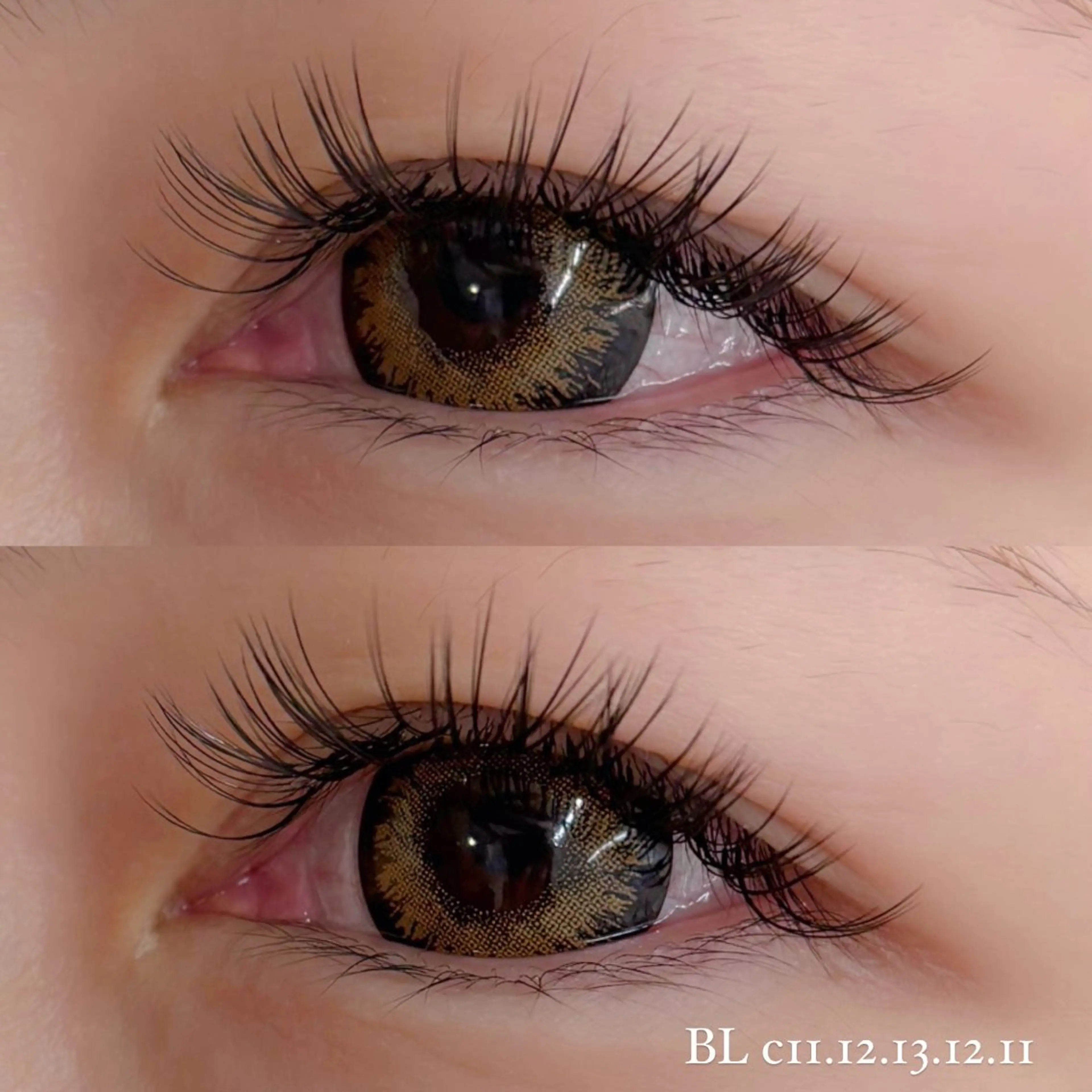 バインドロック140束の写真