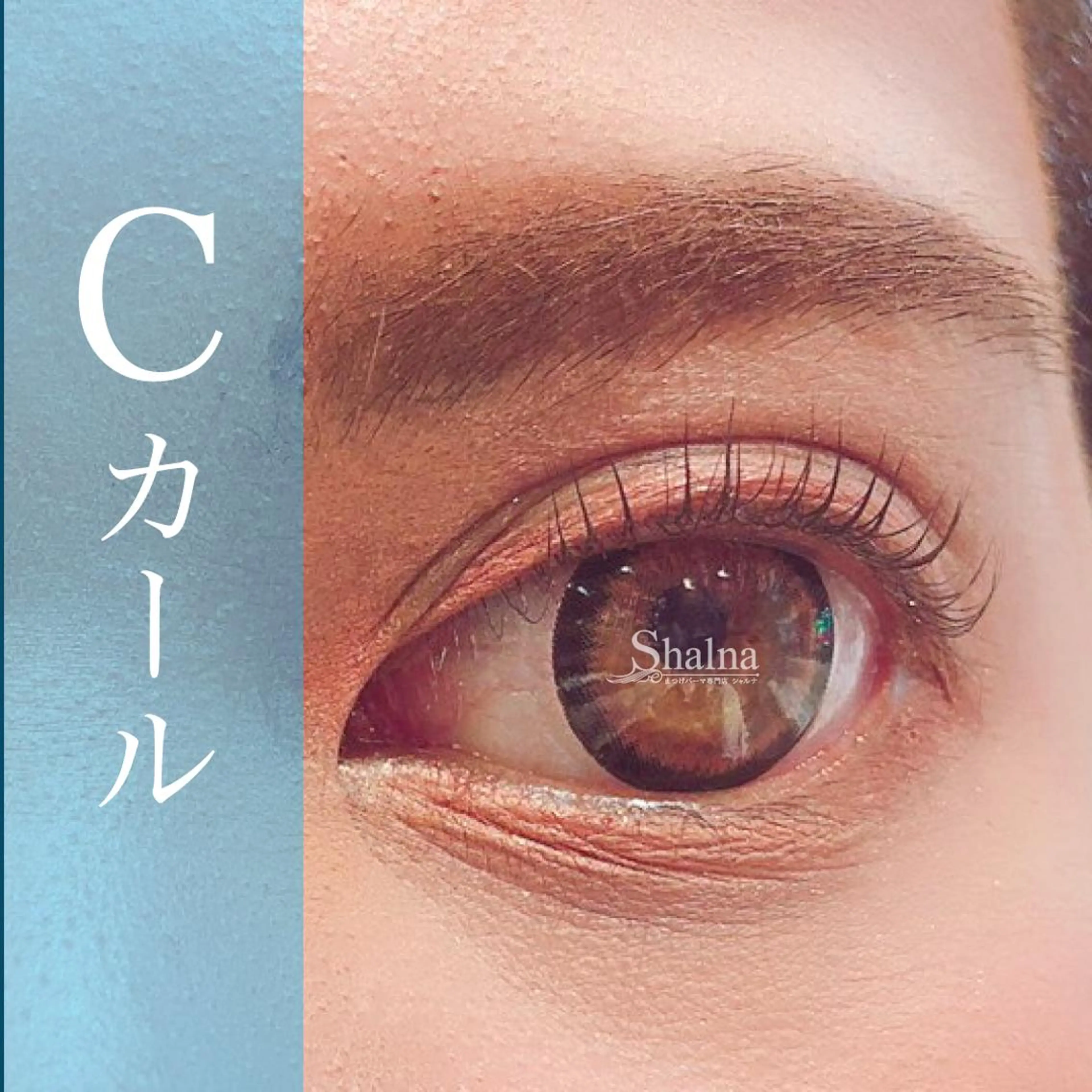 マツエク・マツパ Cカール ナチュラル まつげパーマ まつげパーマ専門店 シャルナ　柏店のマツエク・マツパデザイン