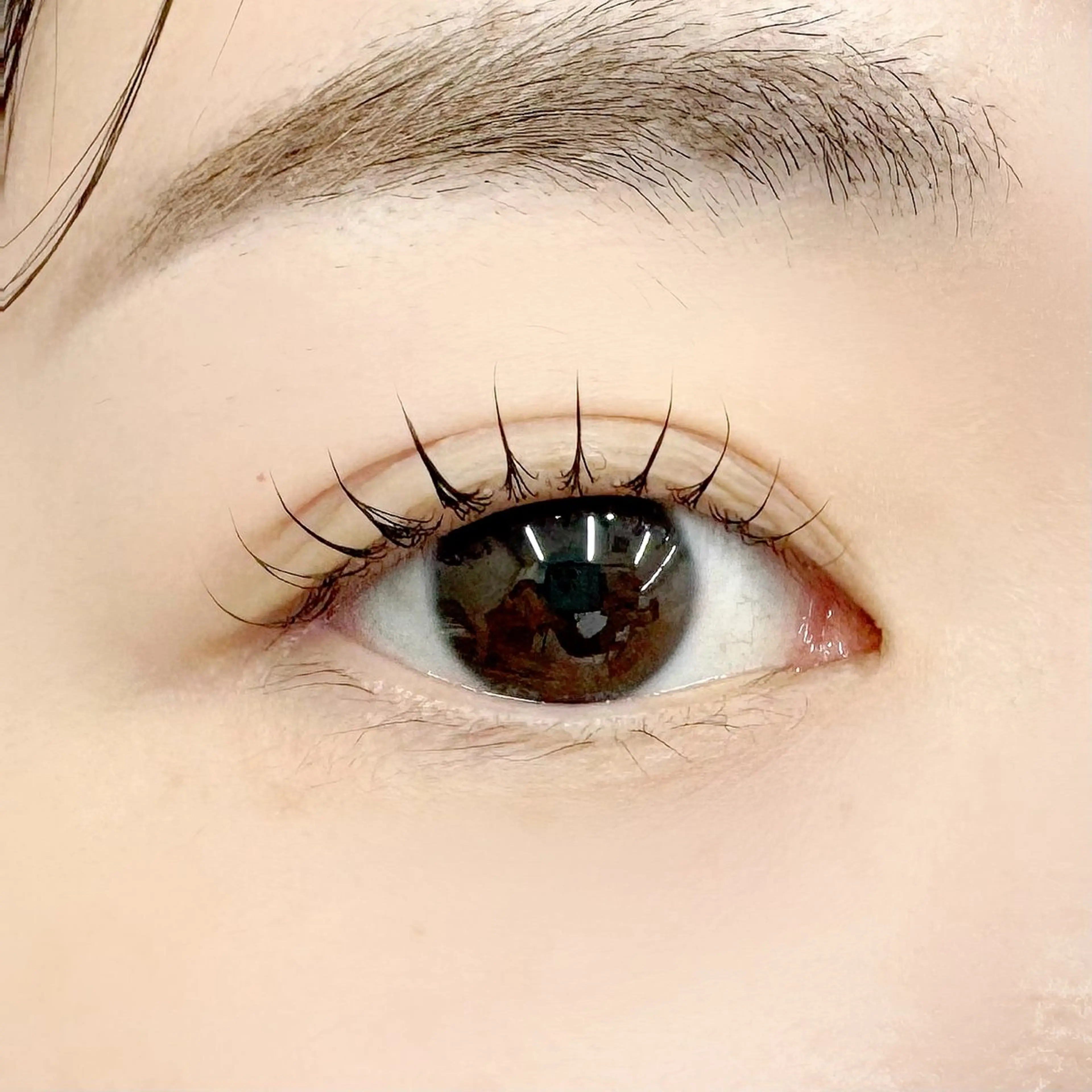 マツエク・マツパ yoko 𓂃個室サロン𓂃のマツエク・マツパデザイン