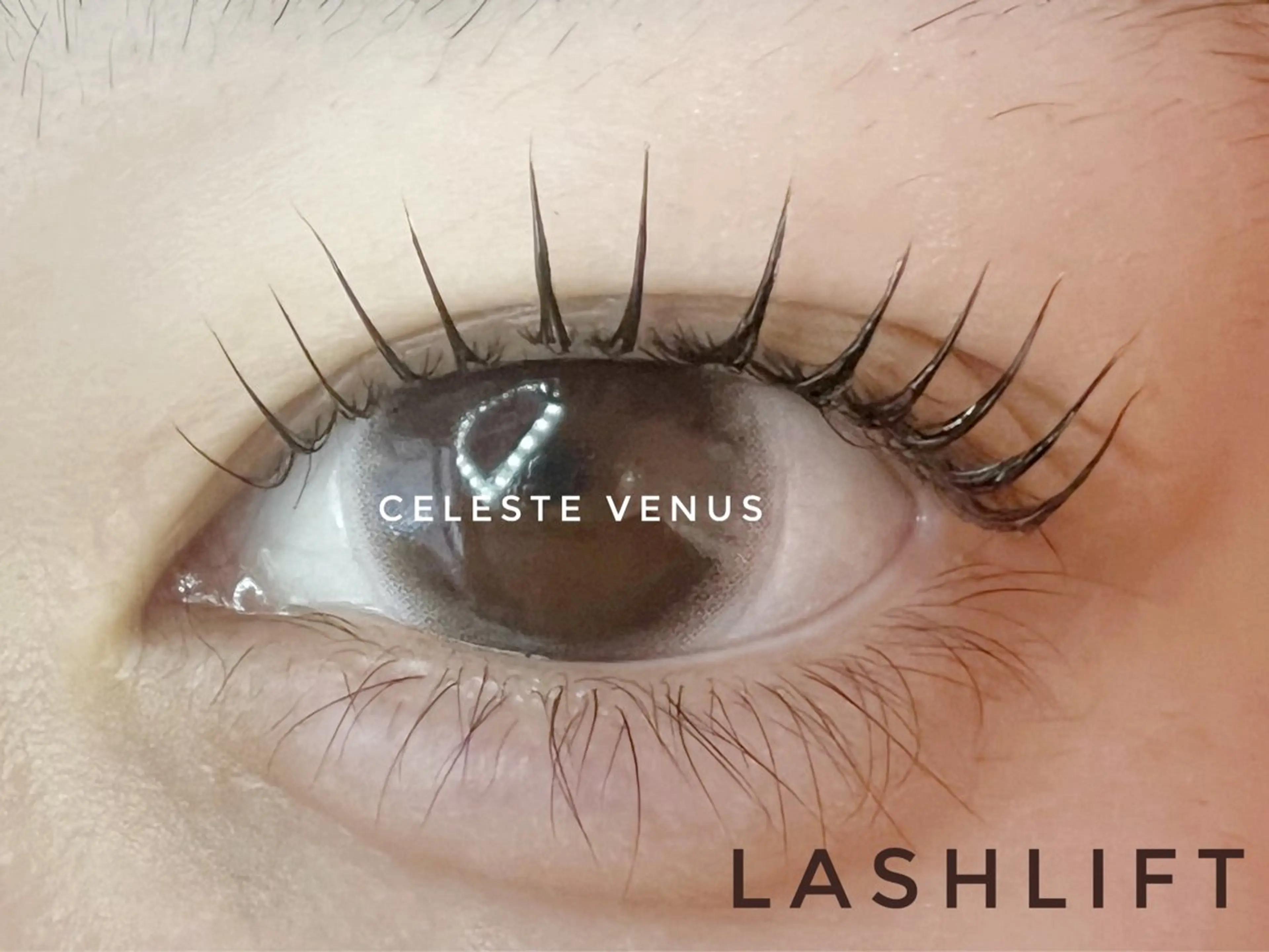 マツエク・マツパ 🧸Celeste Venusのマツエク・マツパデザイン