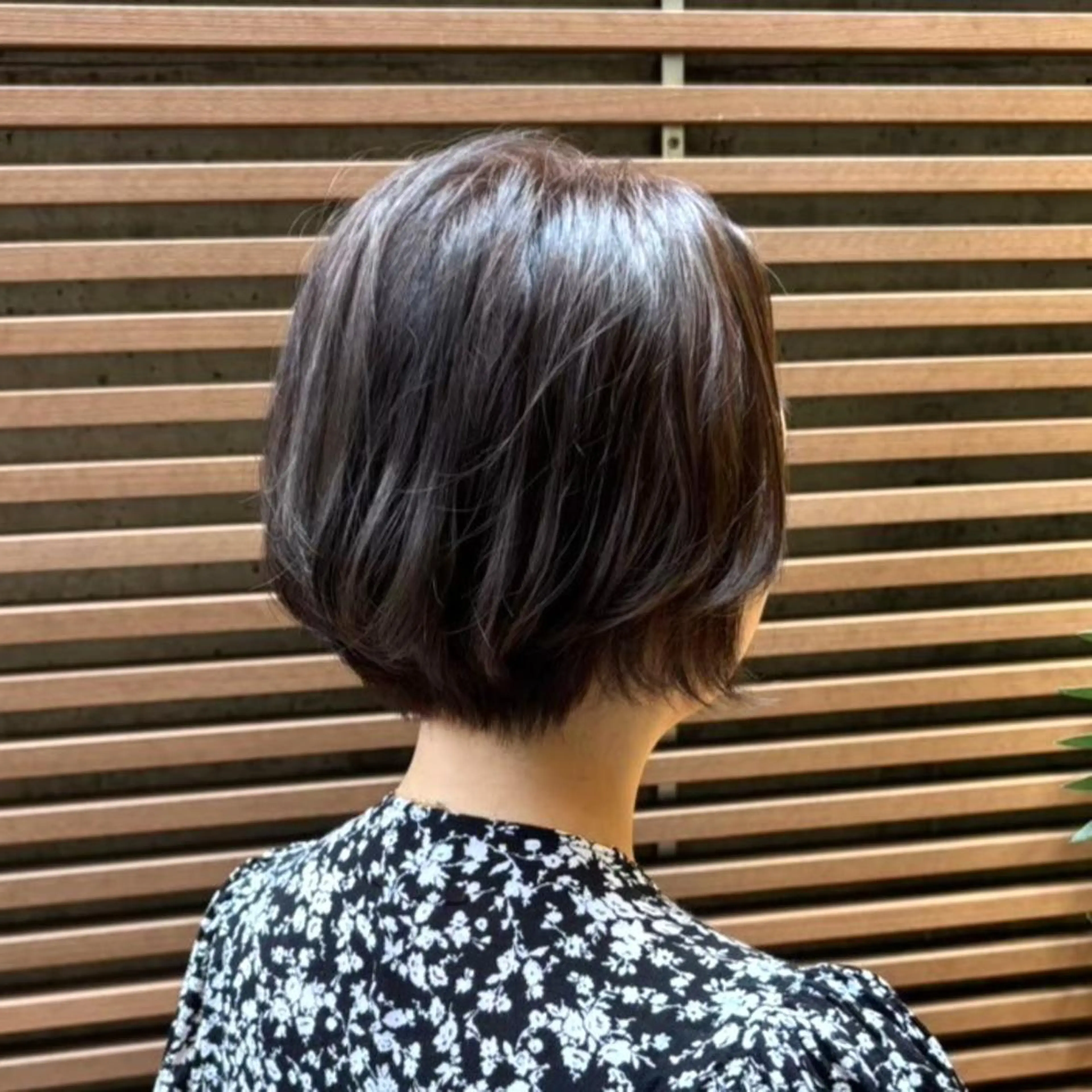 ショート カット ヘアカラー 秋山 達乃進のヘアスタイル