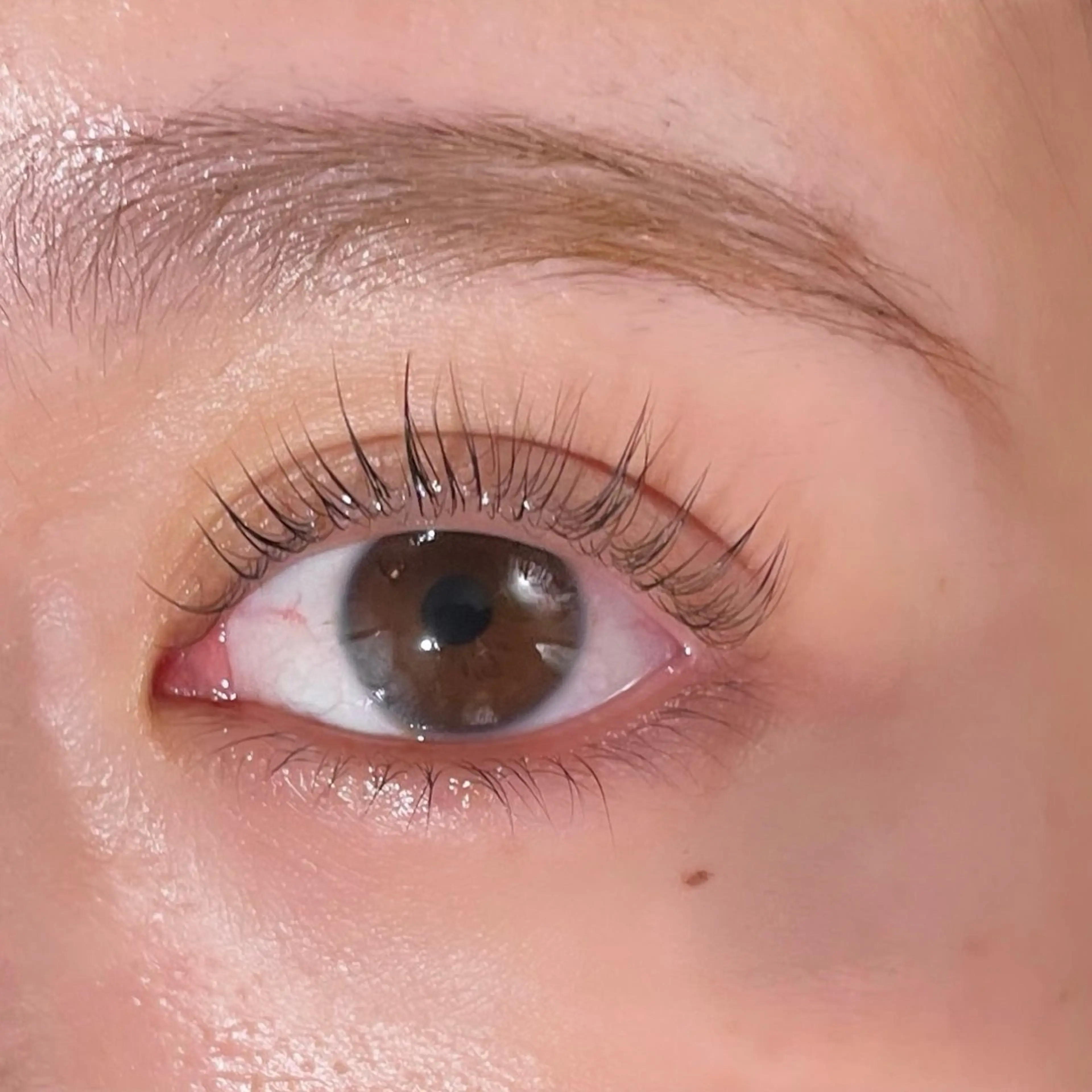 同時施術可能♪まつ毛パーマ➕アイブロウワックス🌷🌷🌷の写真