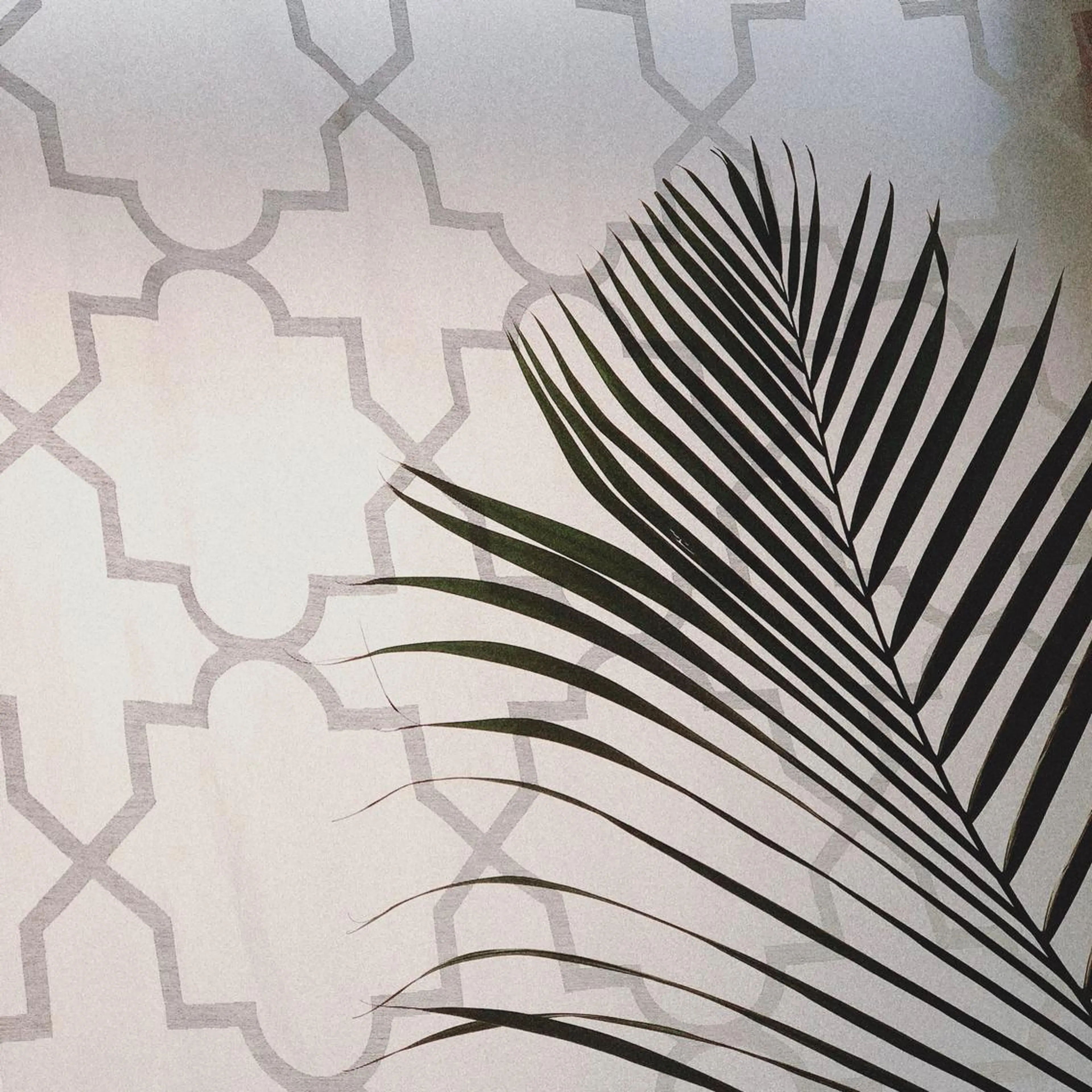 Maile leaf 【マイレリーフ】のマツエク・マツパデザイン