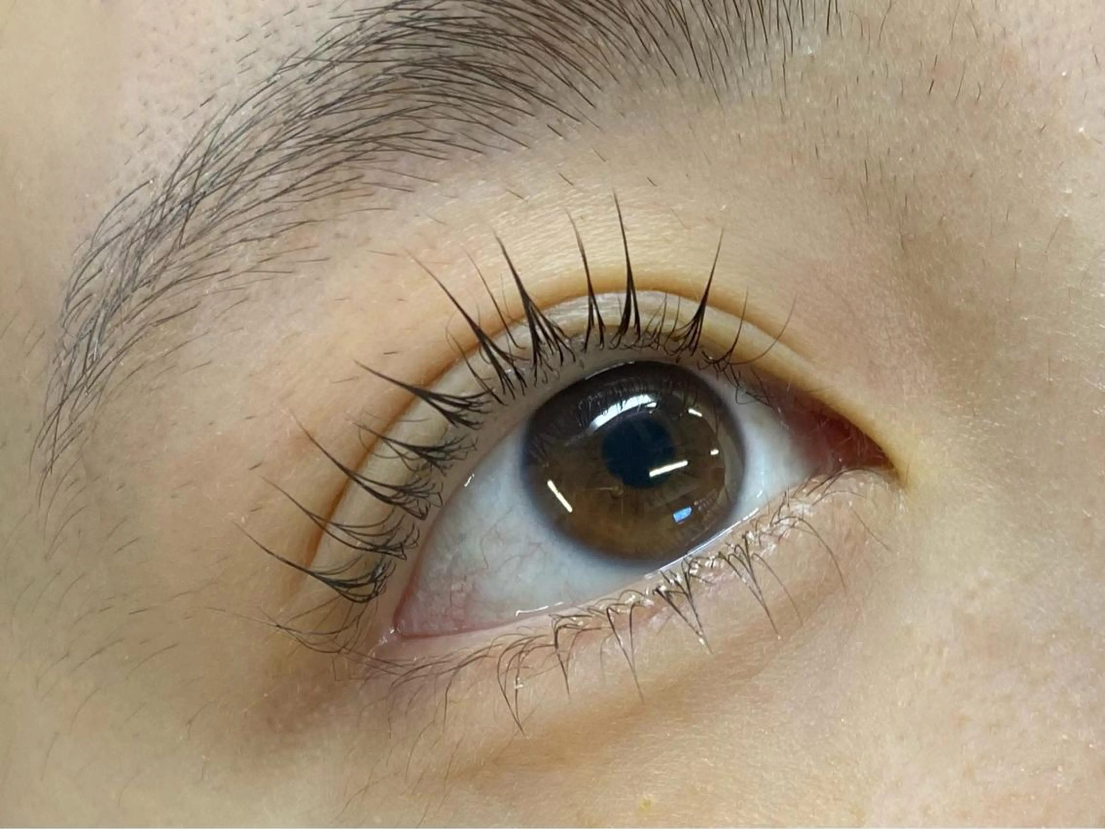 マツエク・マツパ 下まつげエクステ 一重×まつ毛パーマ EYELIST AYUのマツエク・マツパデザイン