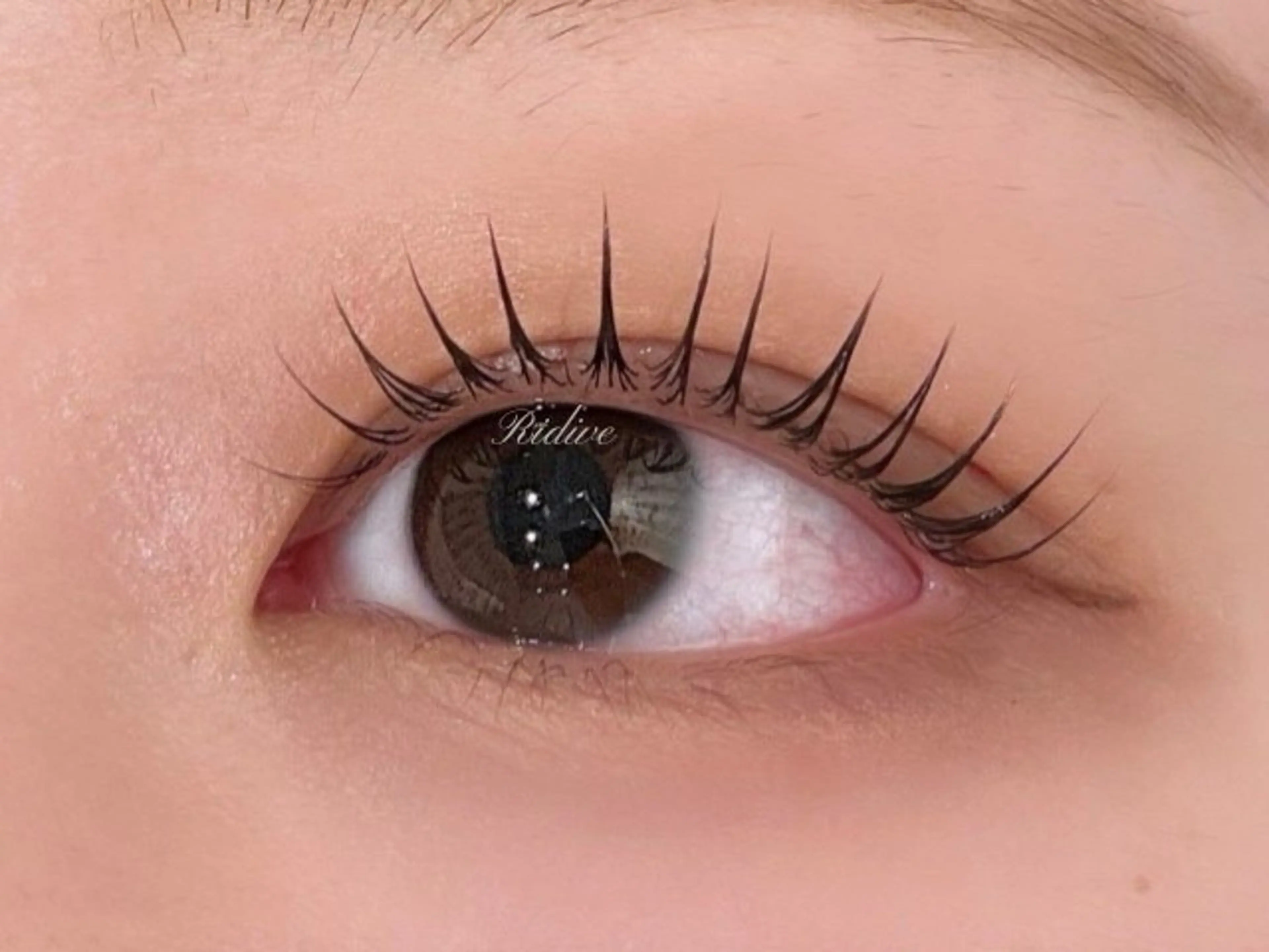 マツエク・マツパ アイブロウサロンRidive【吉祥寺所属・Ridive Ruiの眉毛・アイブロウイメージ