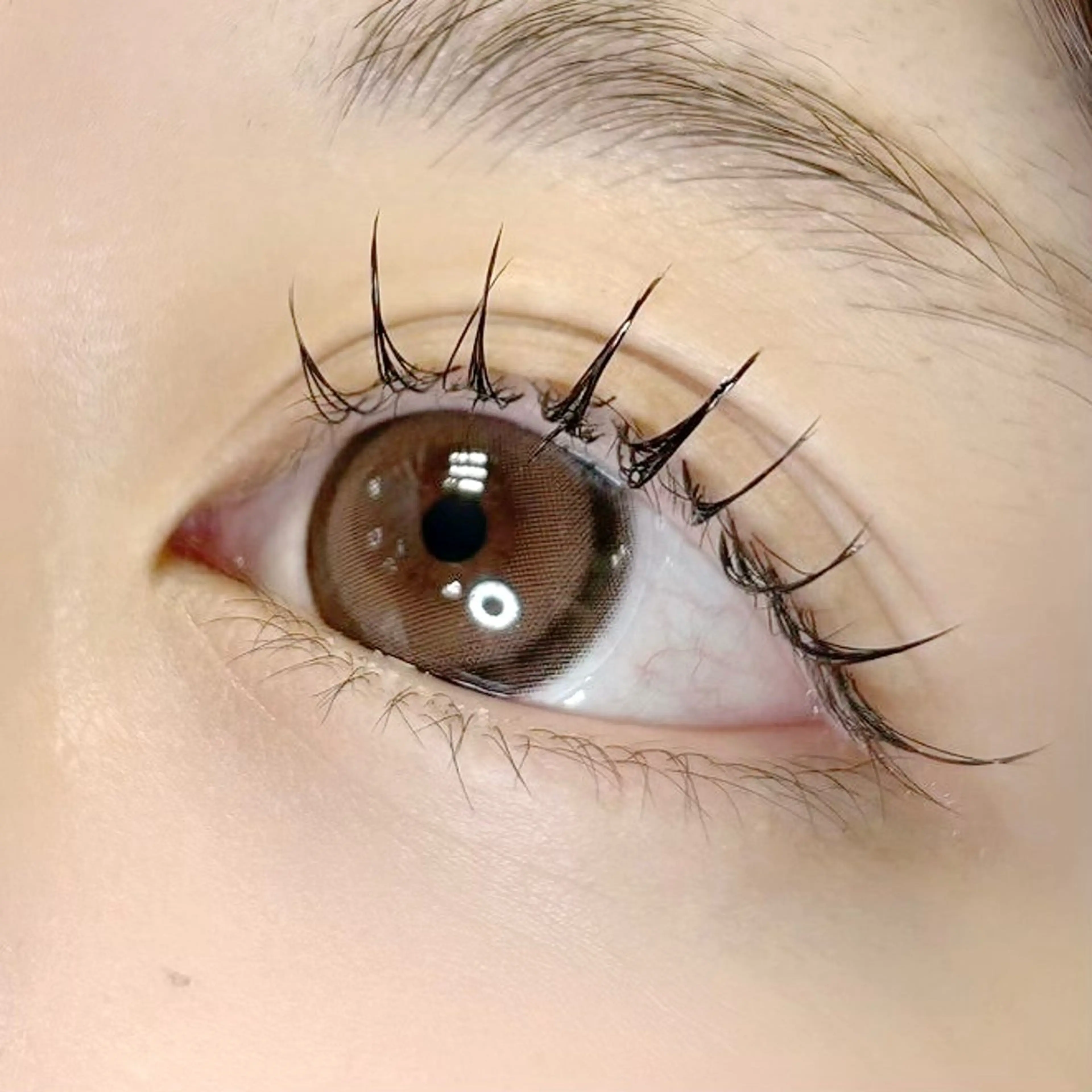 マツエク・マツパ 束感まつ毛 韓国風マツエク イワイ こはるの眉毛・アイブロウイメージ