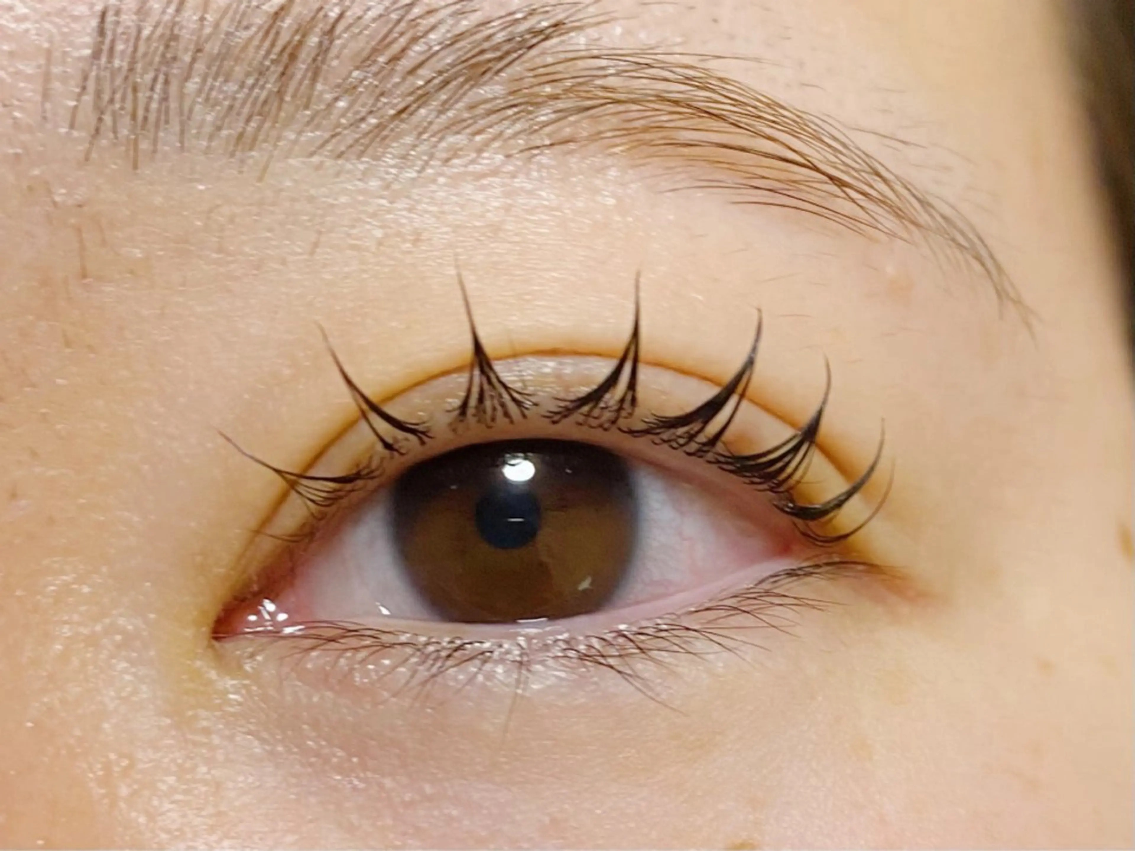 マツエク・マツパ 束感まつ毛 まつげパーマ セレビアイ 新越谷店のマツエク・マツパデザイン
