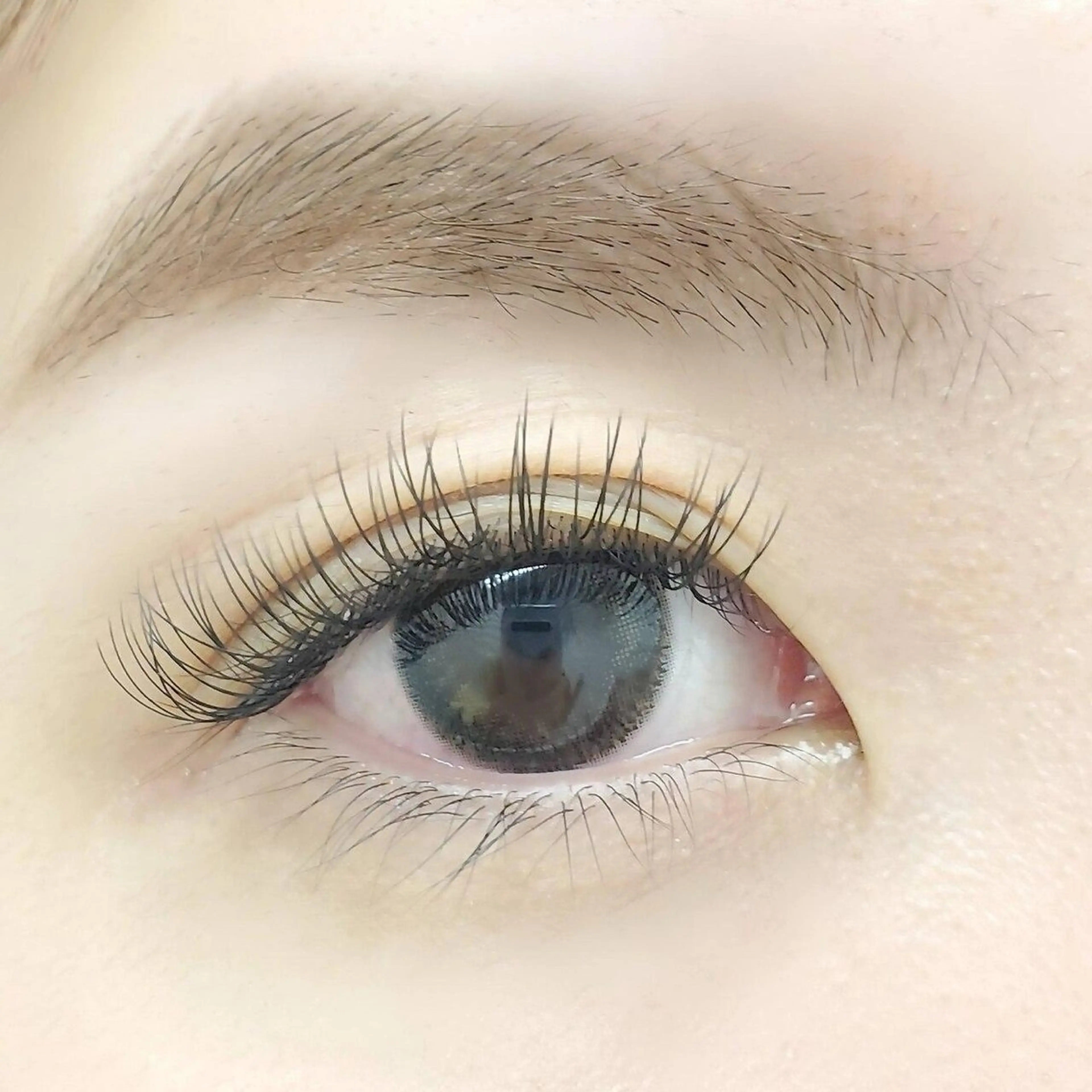 マツエク・マツパ マツエク nomoto🇰🇷 🇨🇳韓国/網紅のマツエク・マツパデザイン