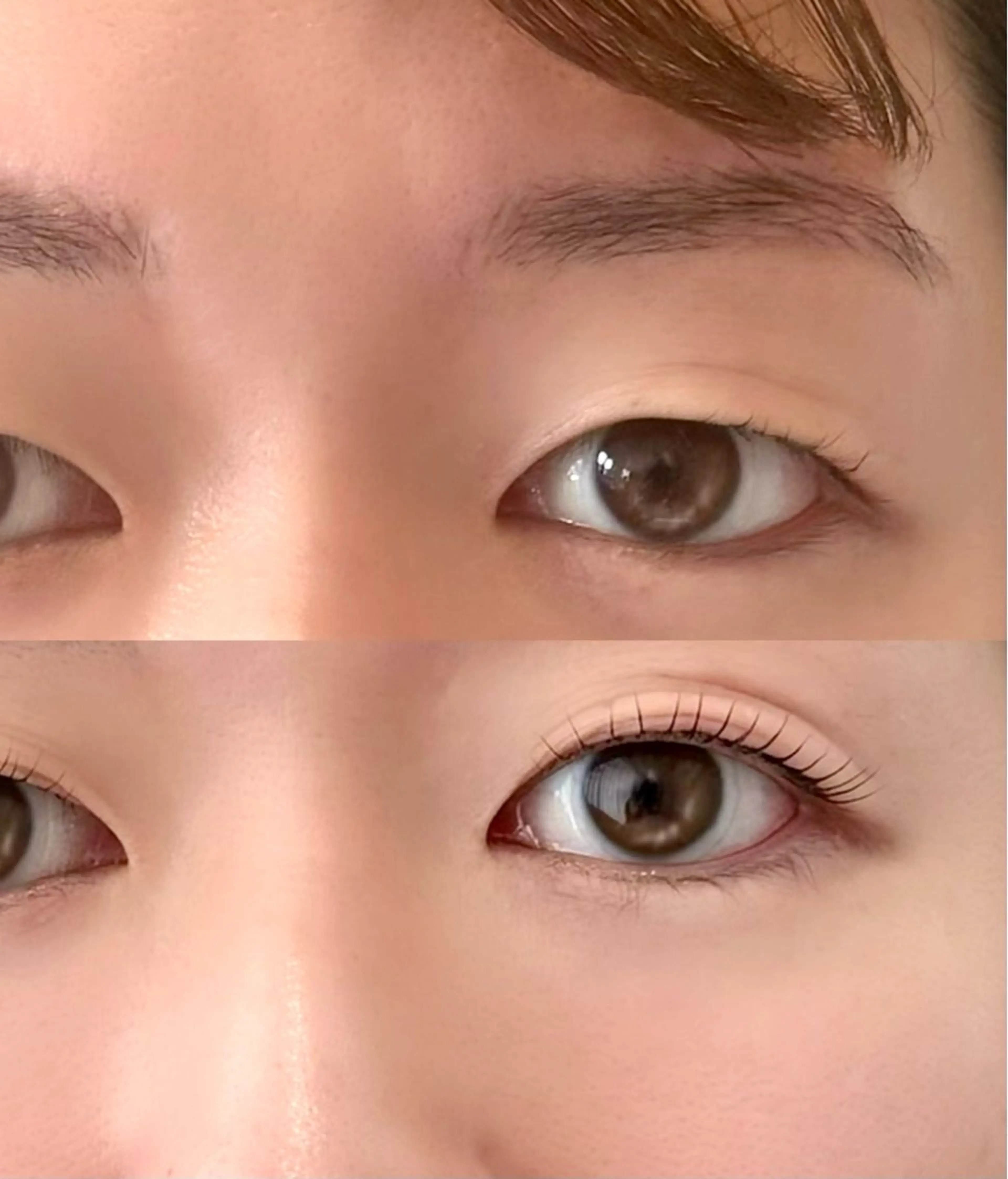 マツエク・マツパ マツパ 眉毛&まつげパーマ THE EYEBROW BAR n　【ザ　アイブロウバー　エヌ】所属・渋谷・表参道サロン yukaの眉毛・アイブロウイメージ