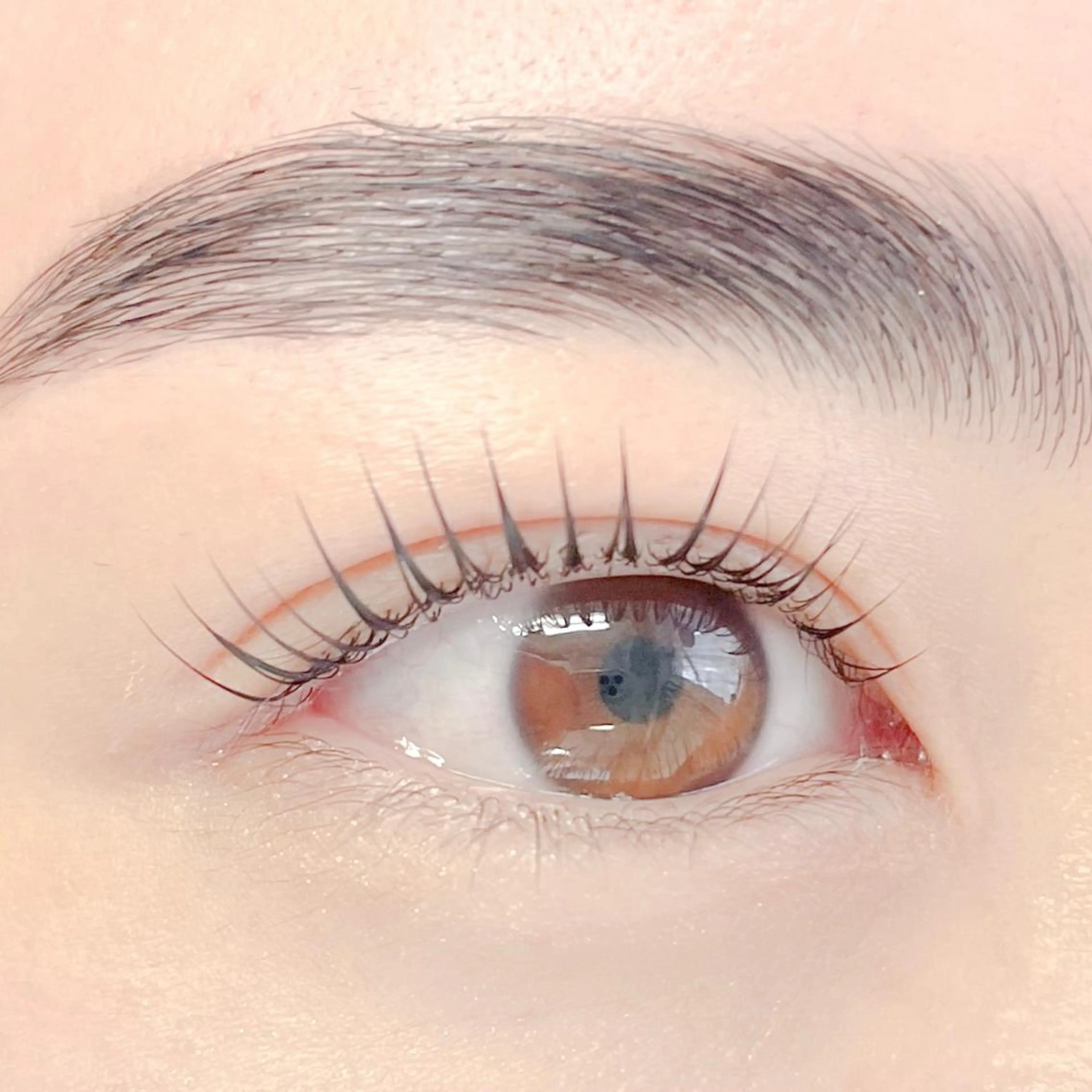 アイブロウ Laurel 下エク パリエクNano🫧のマツエク・マツパデザイン