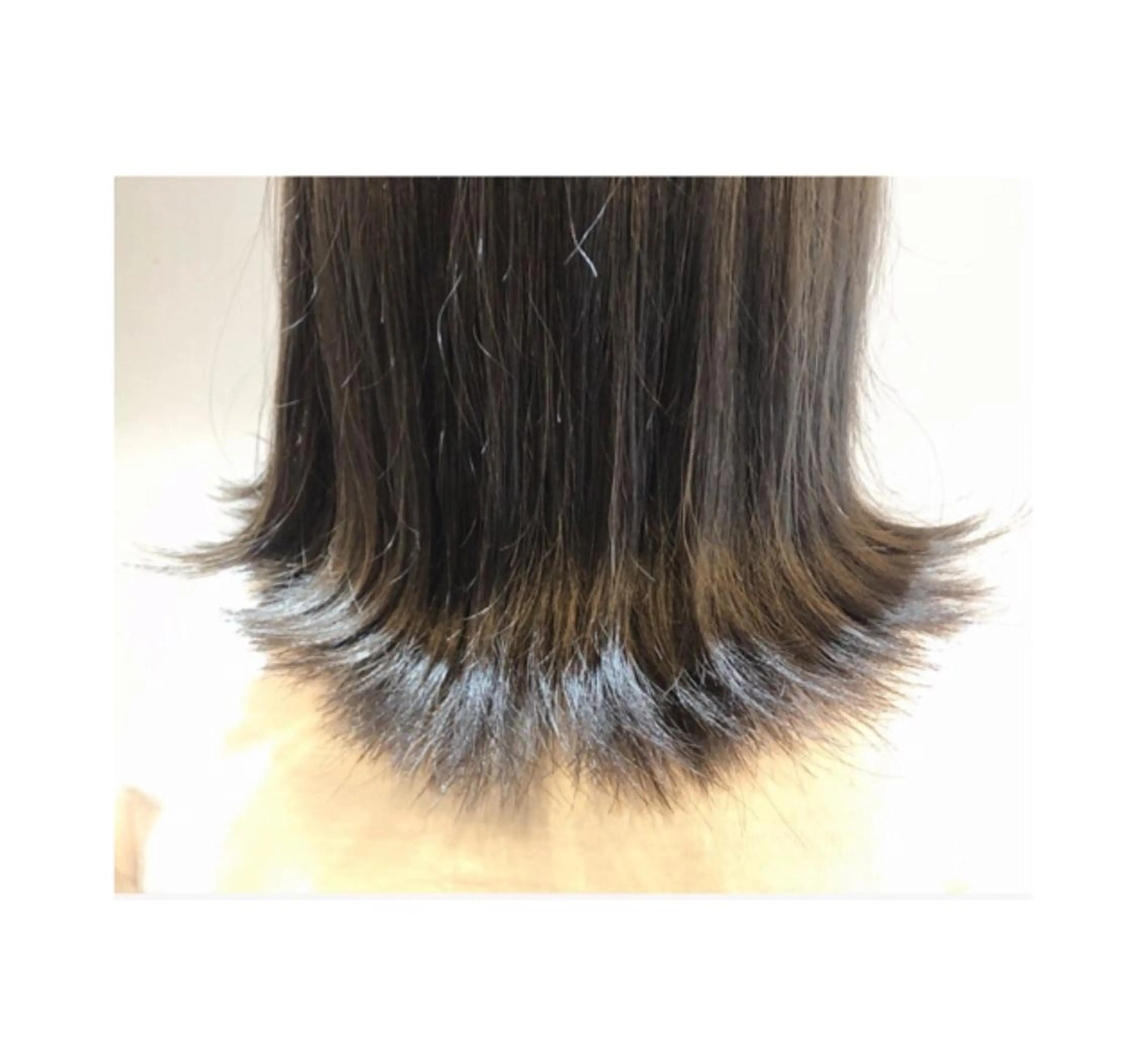 ショート ヘアカラー ❁⃘ ち だ り さ ❁⃘のヘアスタイル