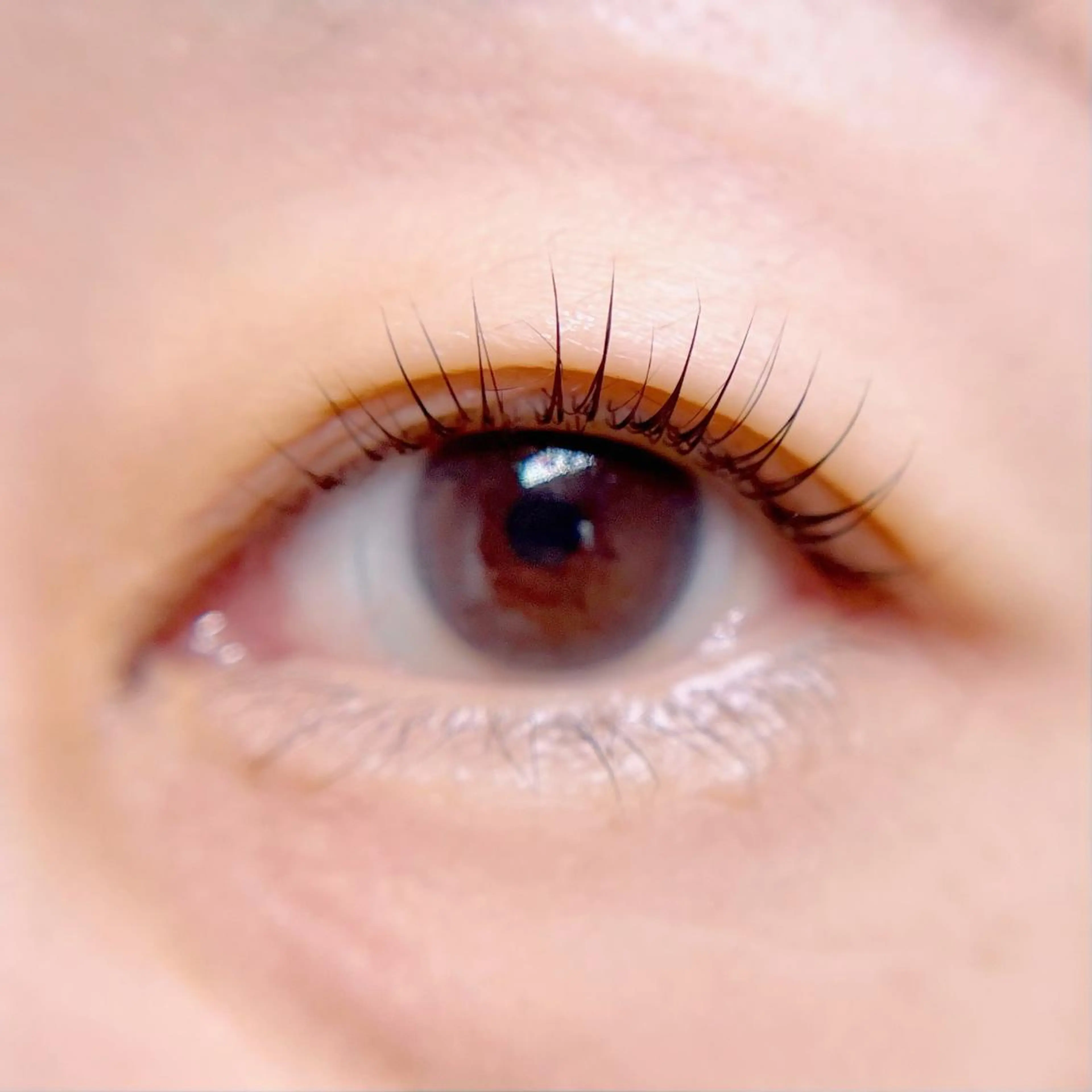 マツエク・マツパ n Yukari.のマツエク・マツパデザイン