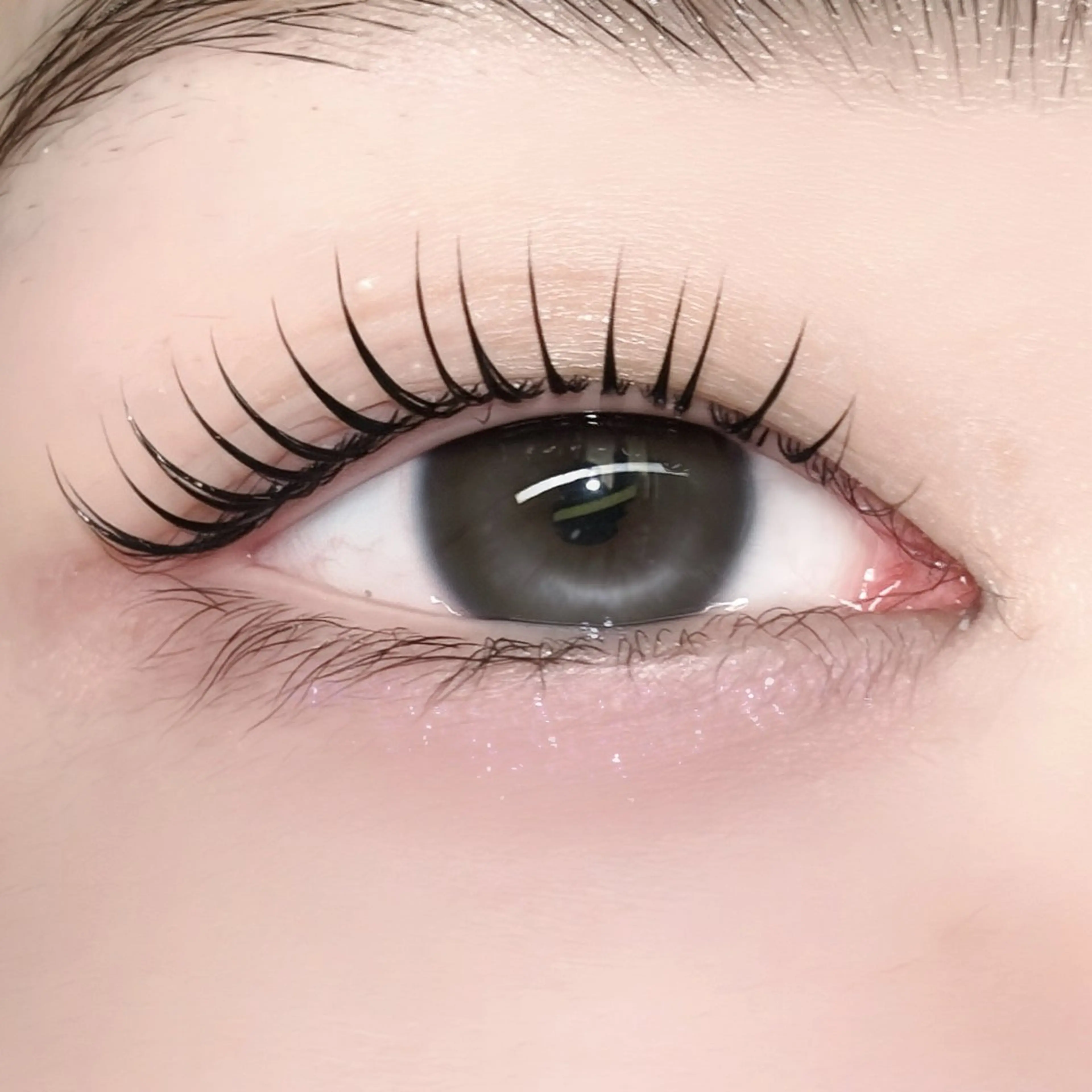 🎀束感まつ毛パーマ🪽アイシャンプー、トリートメント、コーティングこみ（現金支払いのみ）（29歳以下限定）の写真