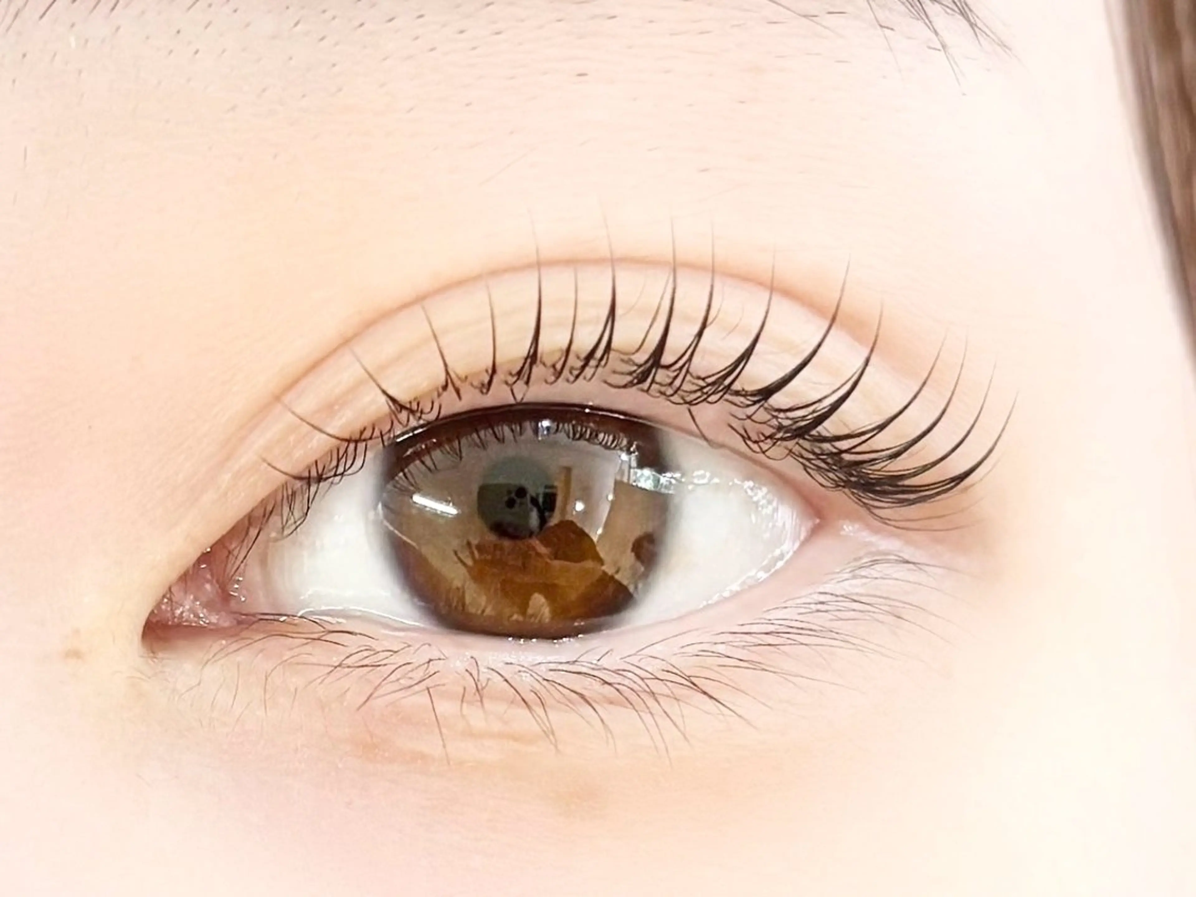 マツエク・マツパ マツパ 中村彩香 (エフドゥ)のマツエク・マツパデザイン