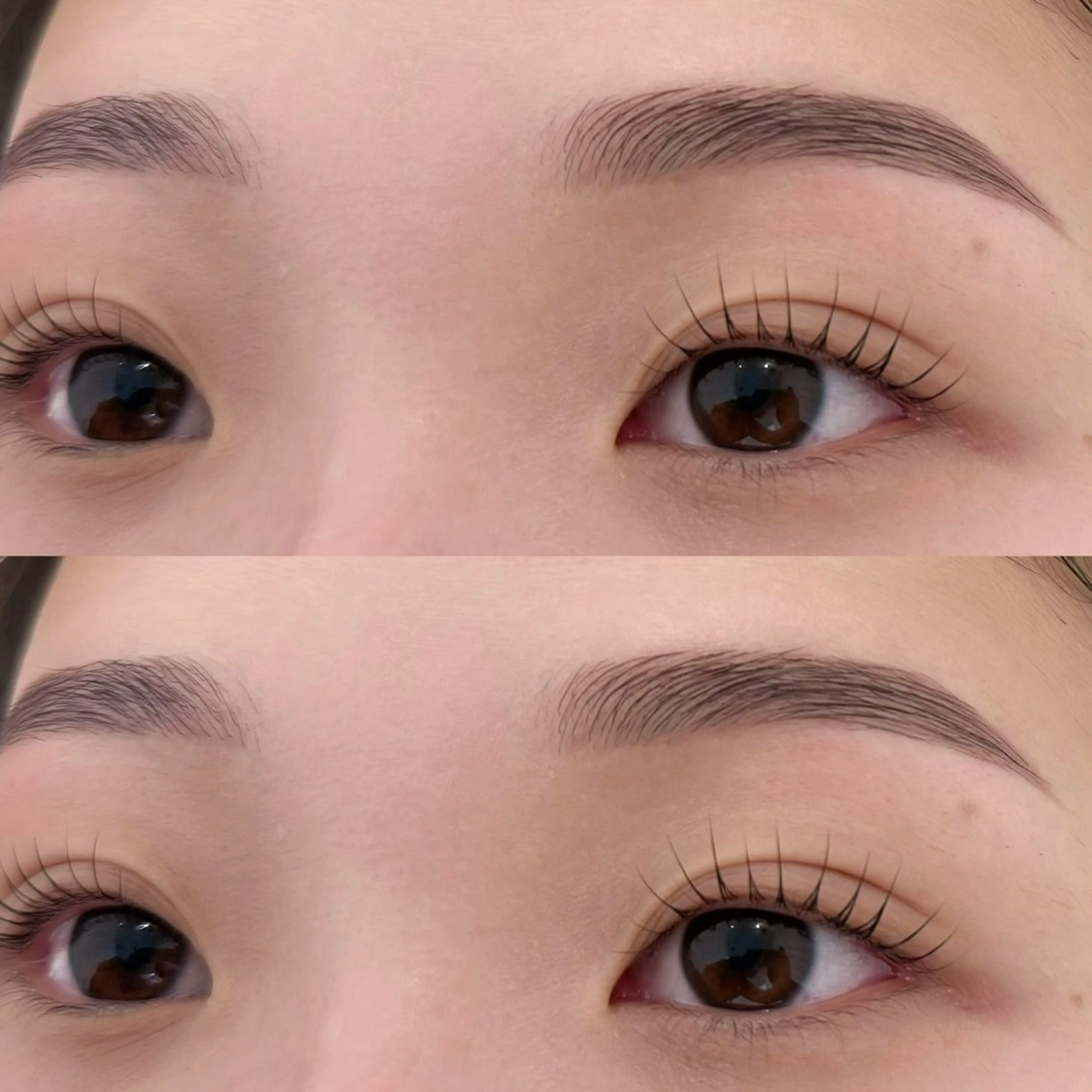 🍀似合わせまつげパーマ+アイブロウWAX+ハリウッドブロウリフト🍀の写真